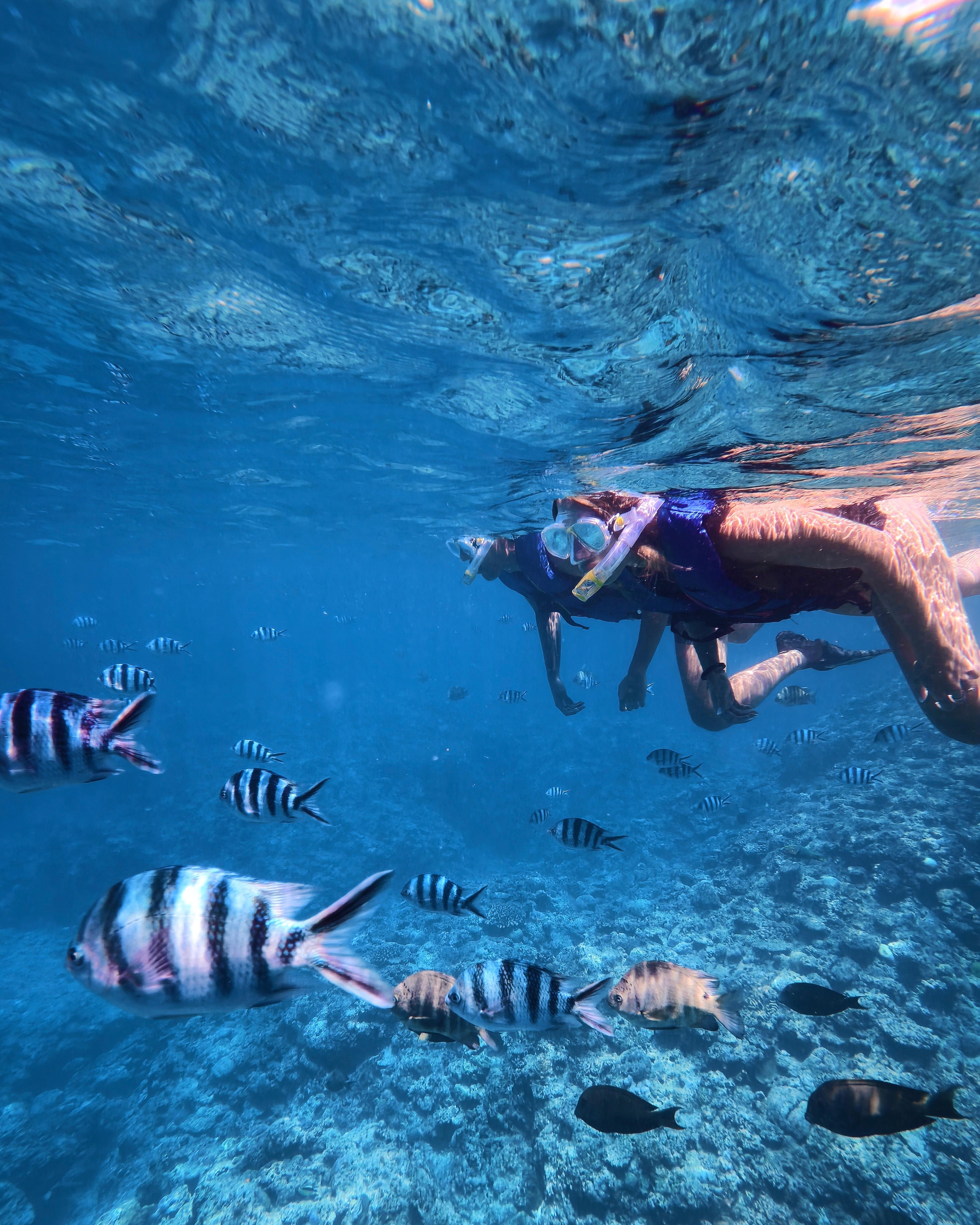 Blue Cave Okinawa snorkelling at Cape Maeda, Onna Village — image 4