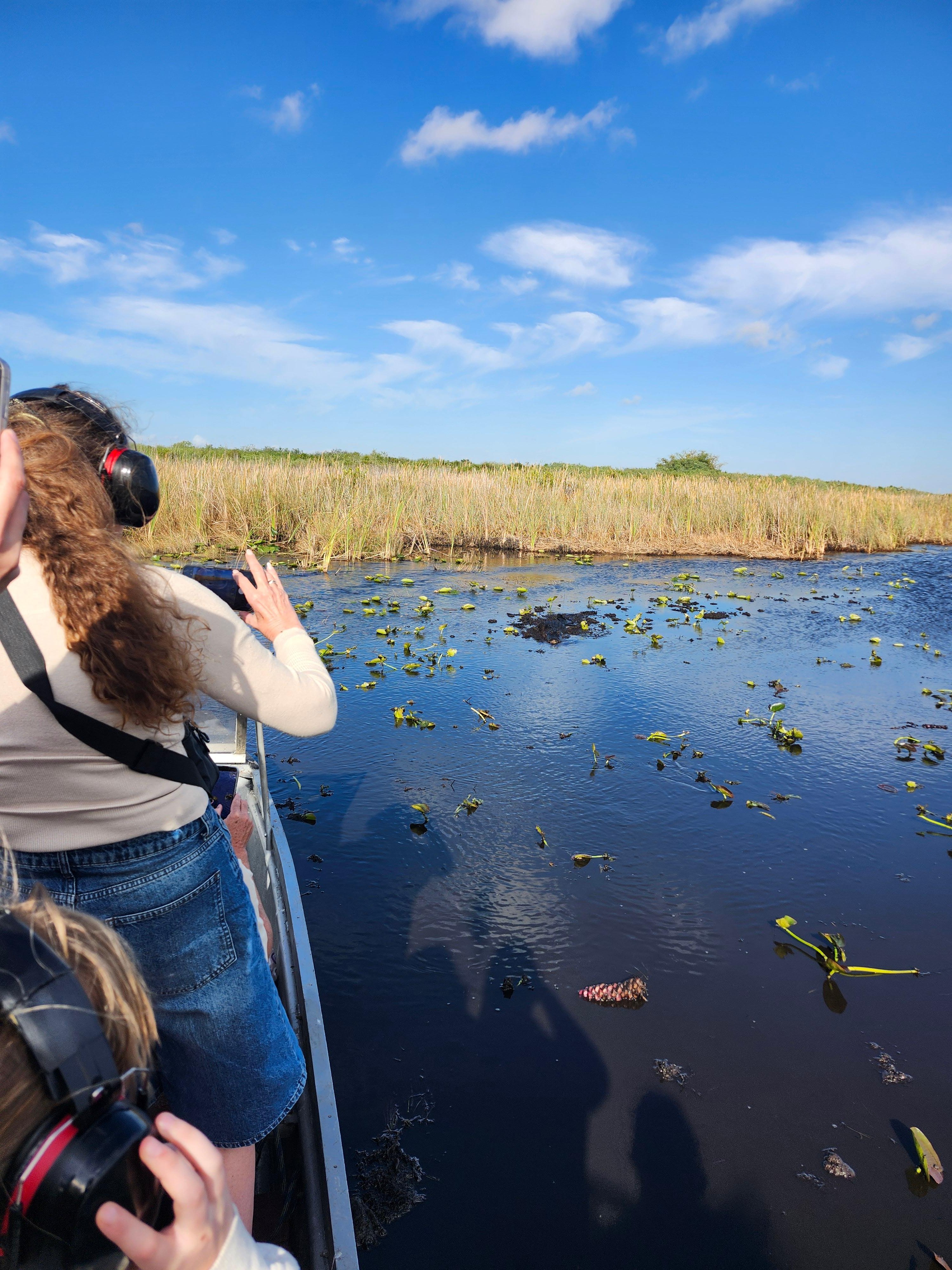 Small-Group Everglades Eco-Adventure & Private Islands Tour