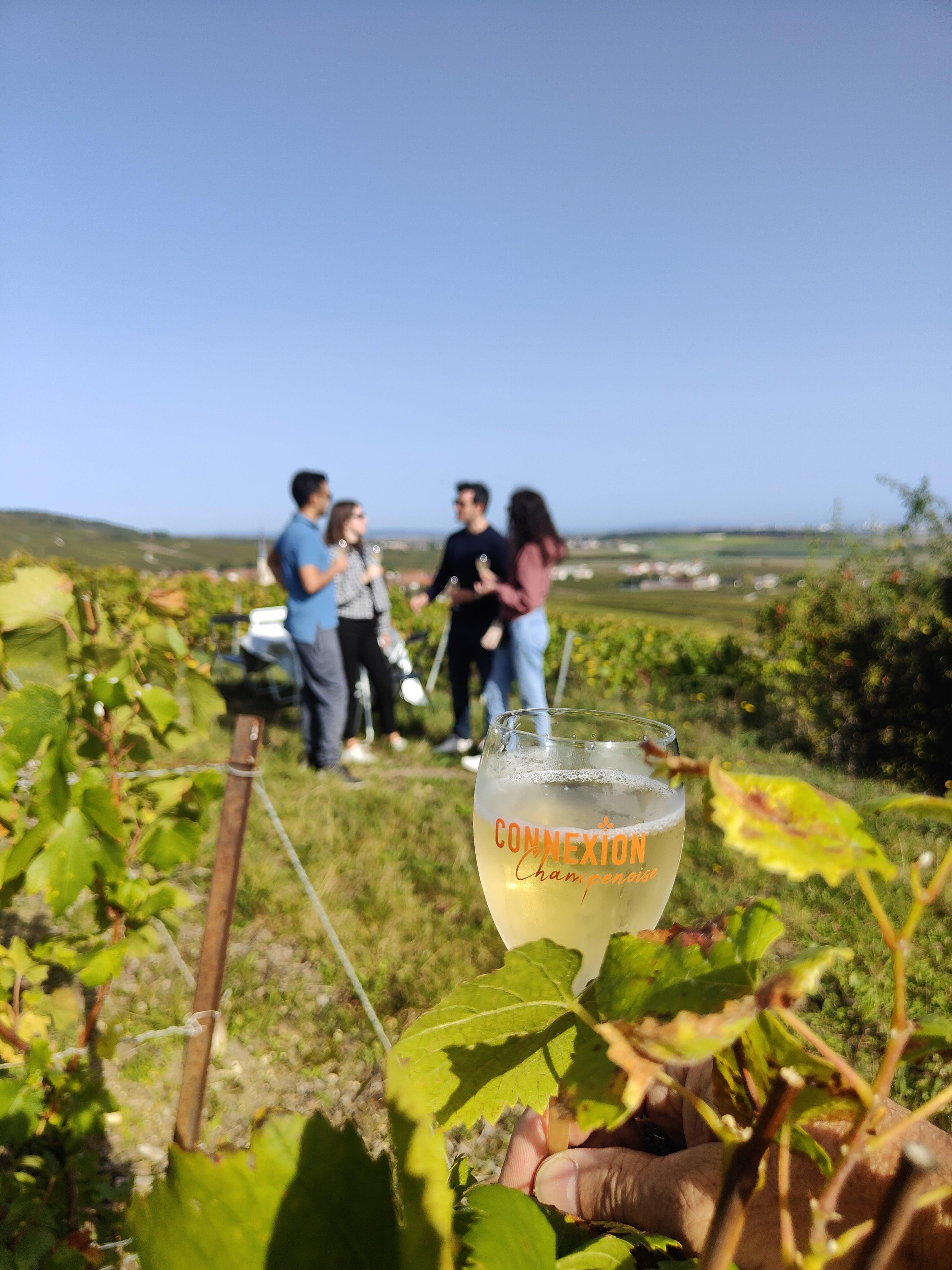 Dégustation de champagne balade panoramique dans les vignes