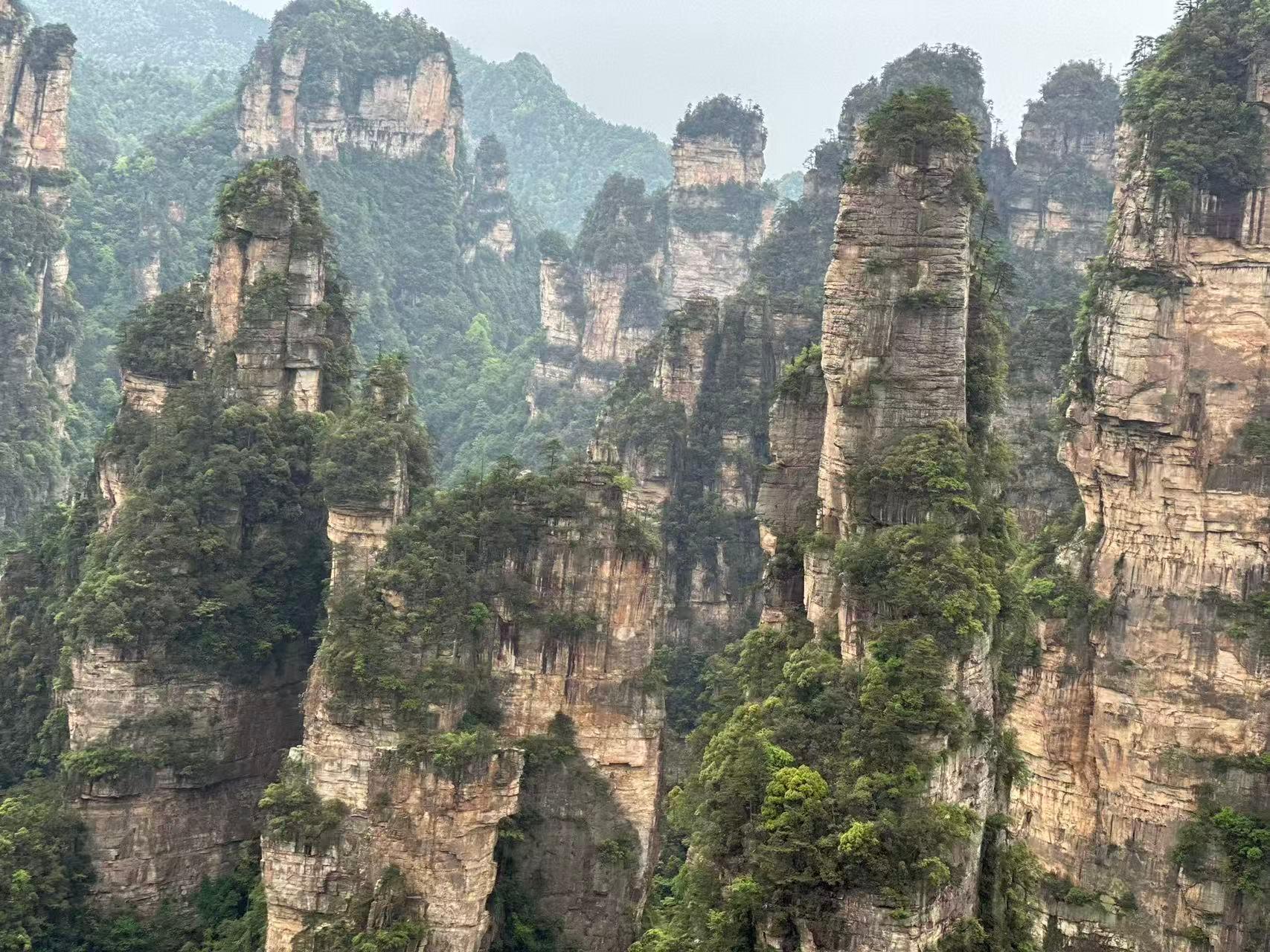 Zhangjiajie National Forest Park: Multi-Day Entry Ticket