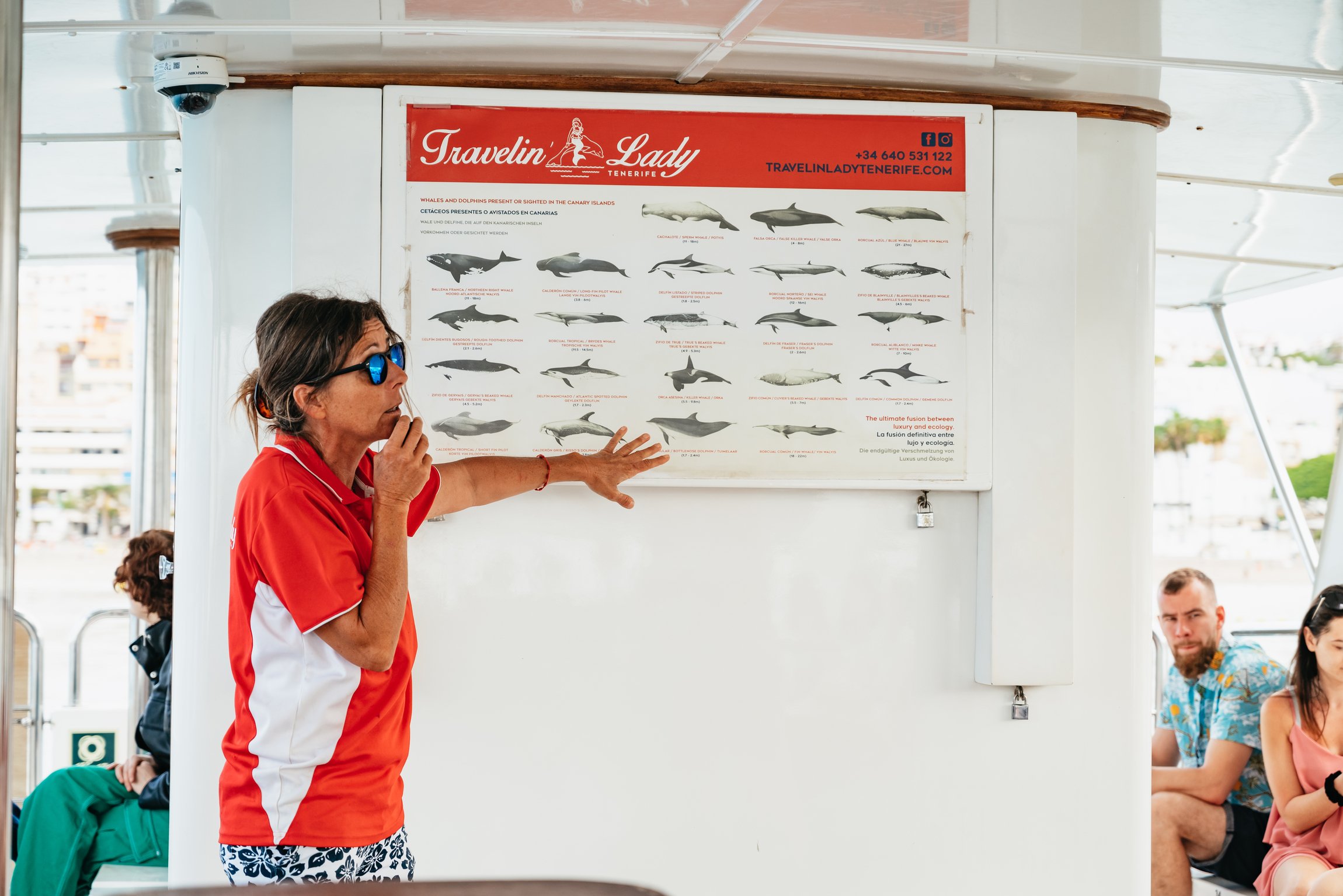 Tenerife Eco-Yacht Whale & Dolphin Watching Cruise