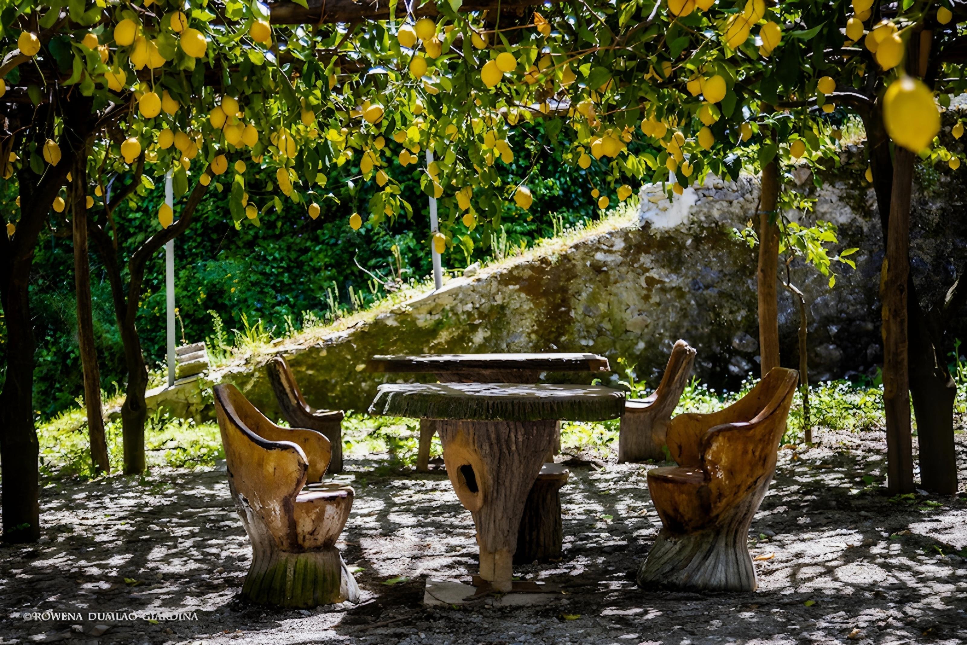 Amalfi: Vertical Lemon Farm Tour, Tastings & Rural Museum