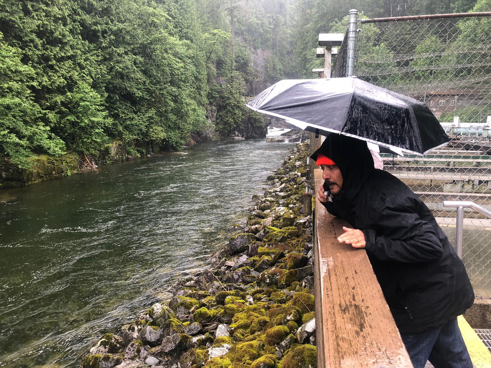 5-in-1 Vancouver Highlights: Grouse Mountain & Capilano Bridge Private Car Tour