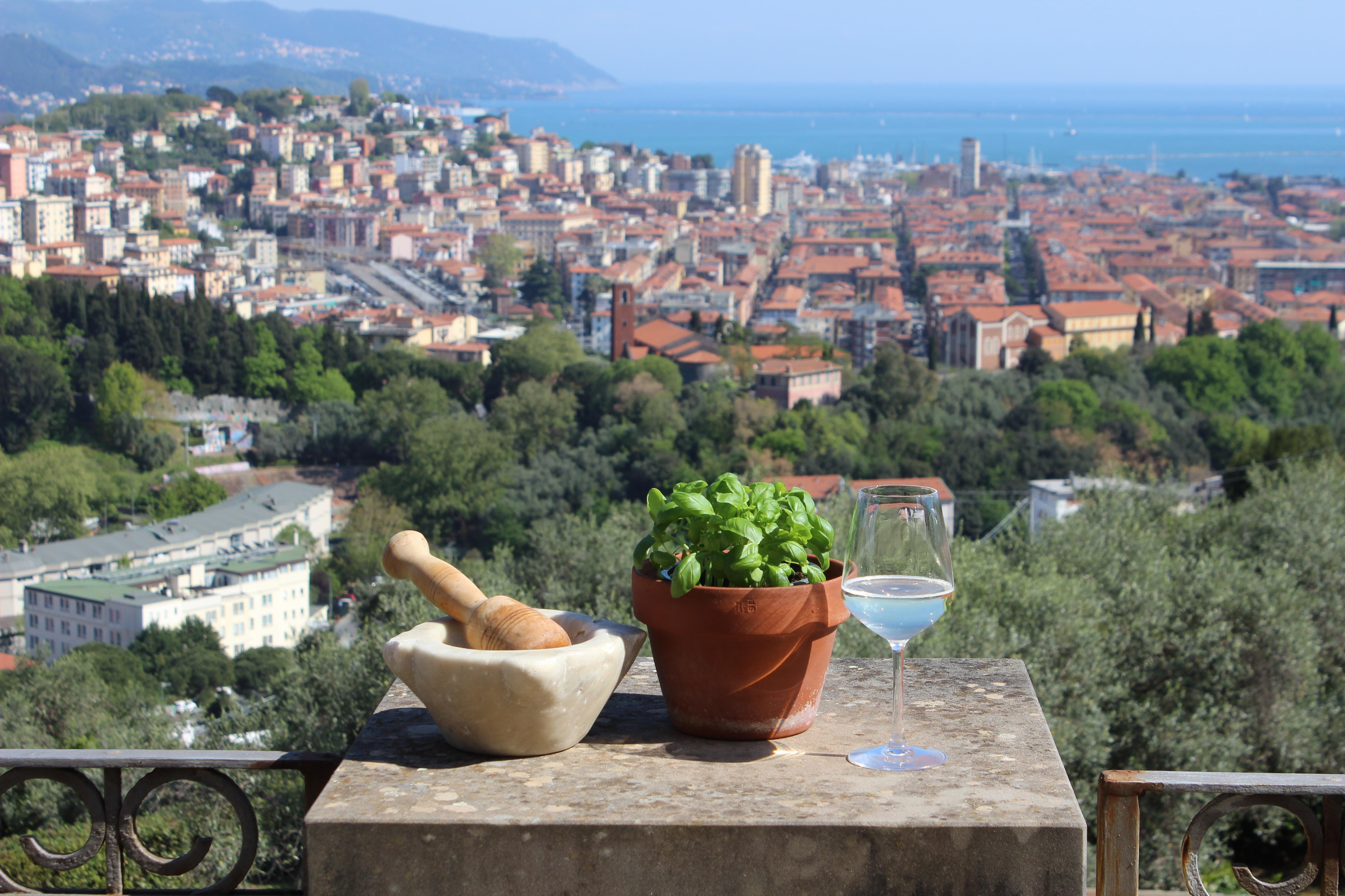 Pesto Workshop & Wine Tasting at Historic Villa Lucia