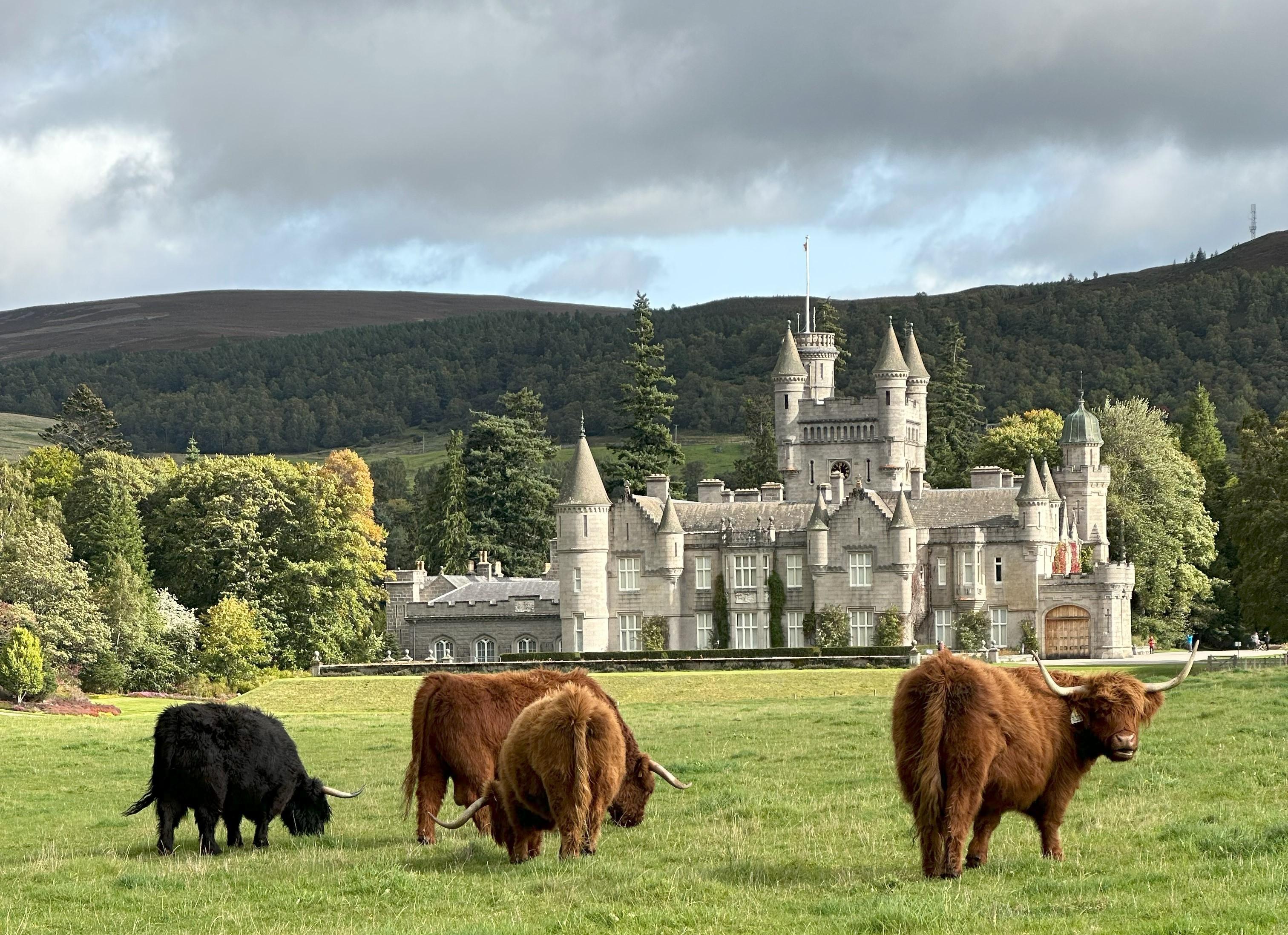 Royal Deeside & Balmoral Estate Day Tour from Aberdeen