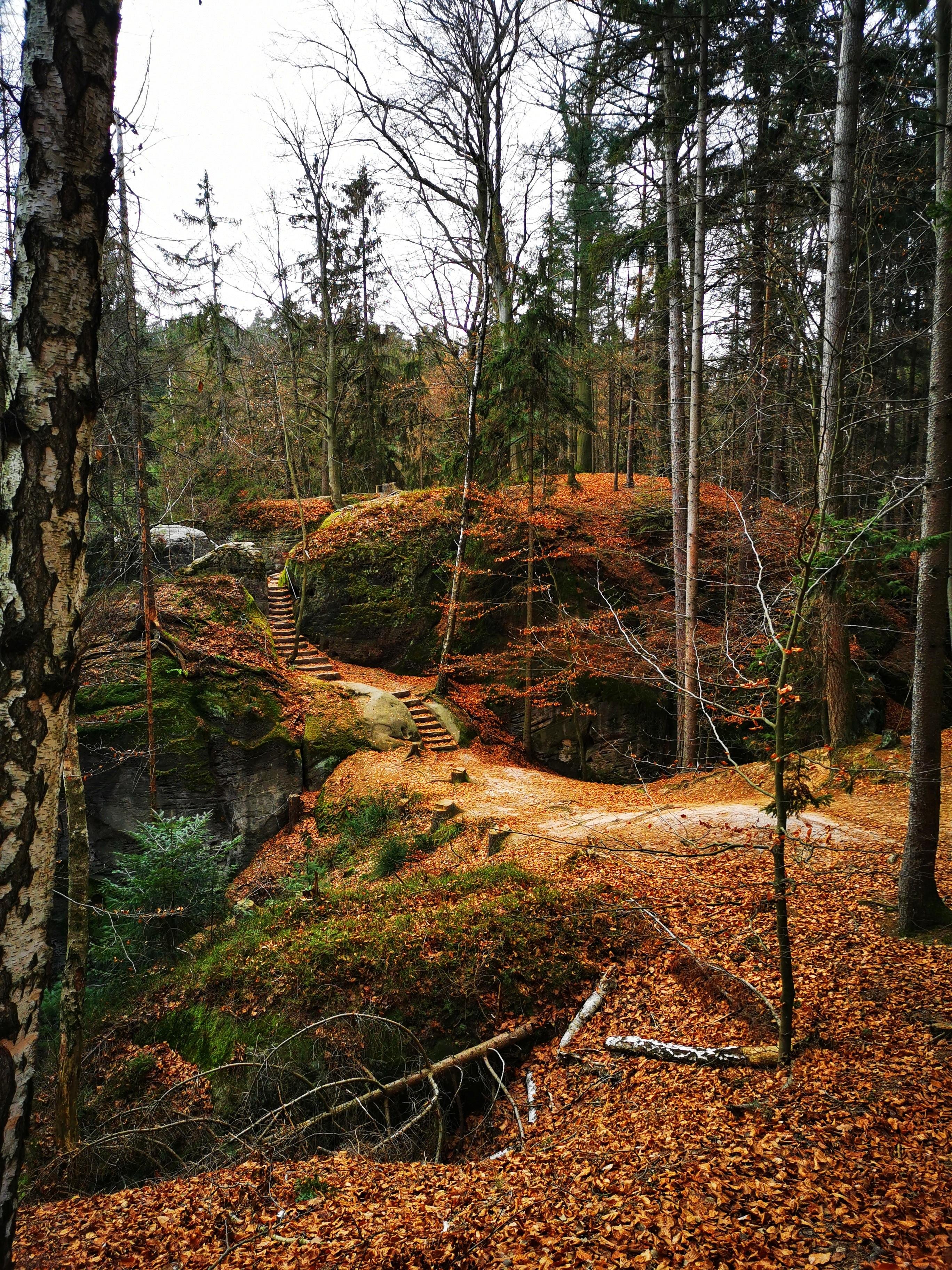 Full-Day Bohemian Paradise Hiking Adventure from Prague