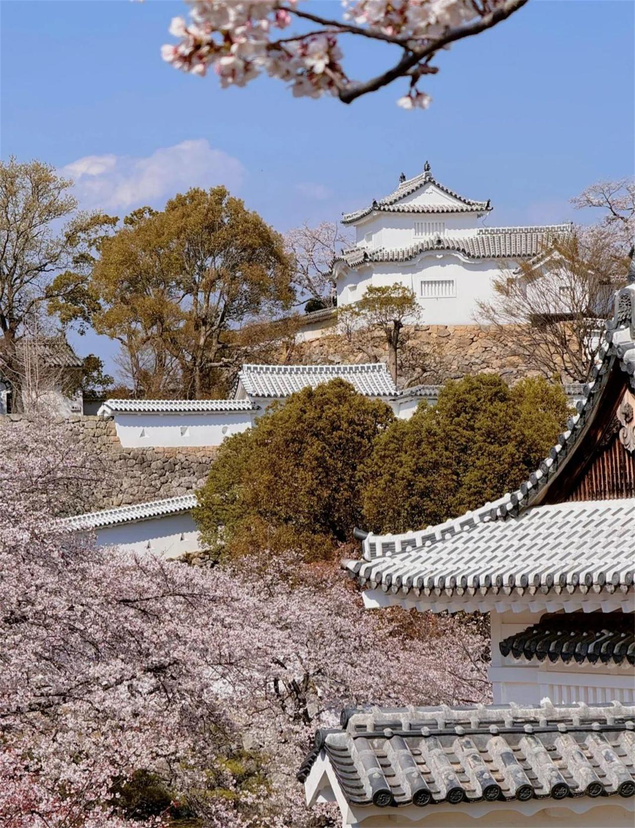 Osaka: Himeji Castle, Arima Onsen & Mount Maya Small-Group Trip