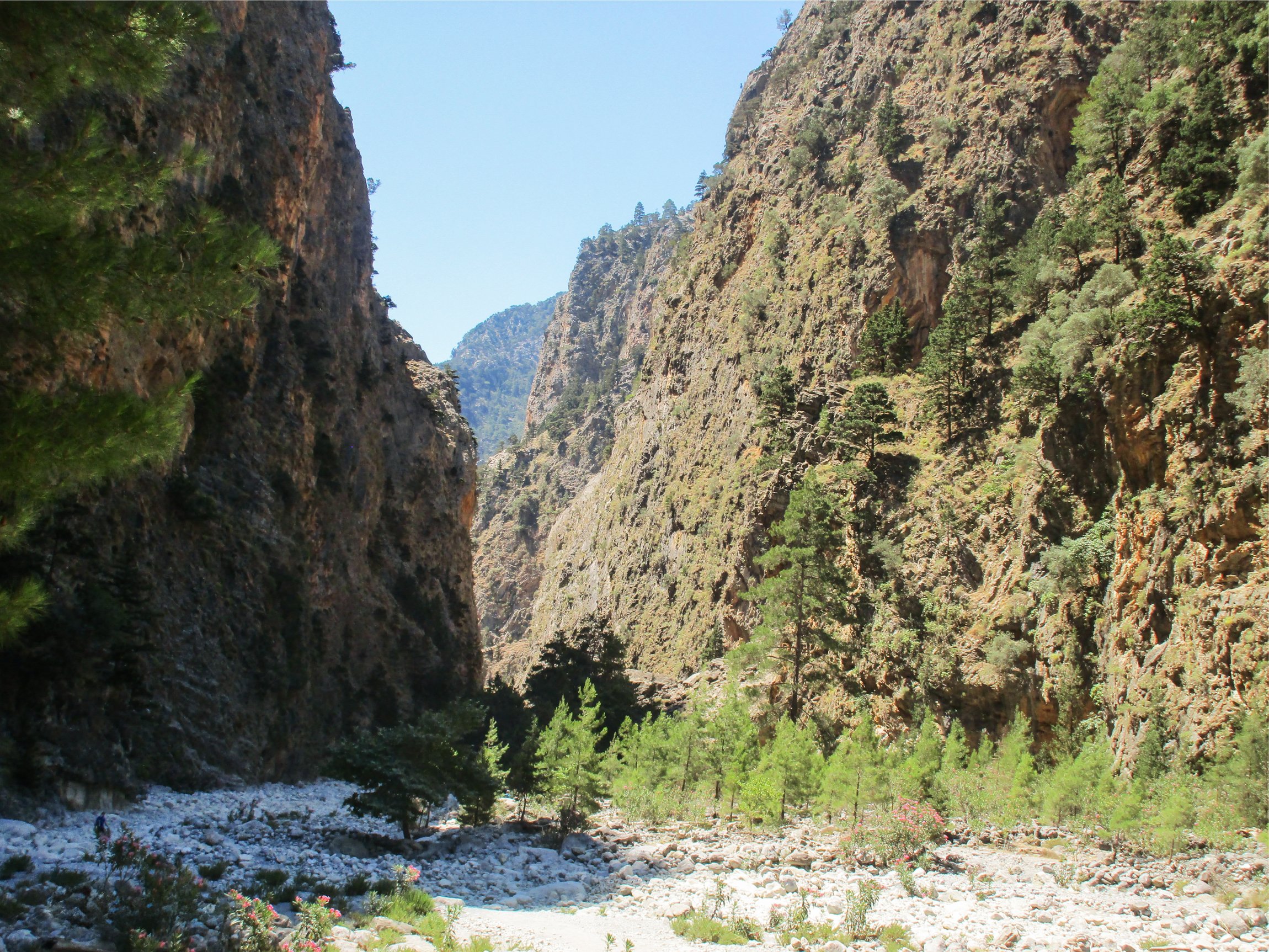 Samaria Gorge hike Crete — Xyloskalo descent, Iron Gates Sideroportes, kri-kri ibex, Agia Roumeli Libyan Sea — image 41