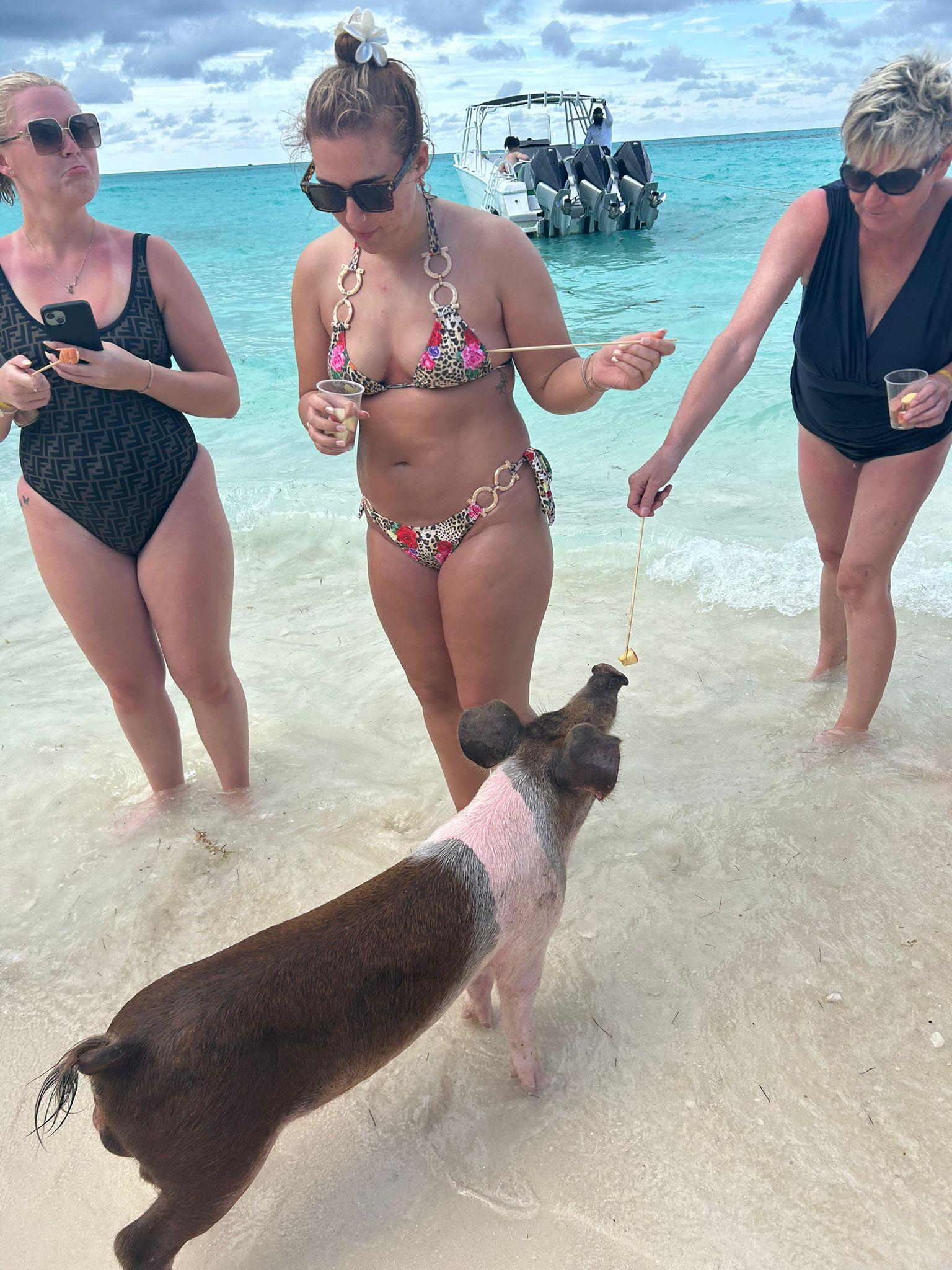 Nassau 3-Island Speedboat Adventure: Pigs, Turtles & Snorkeling