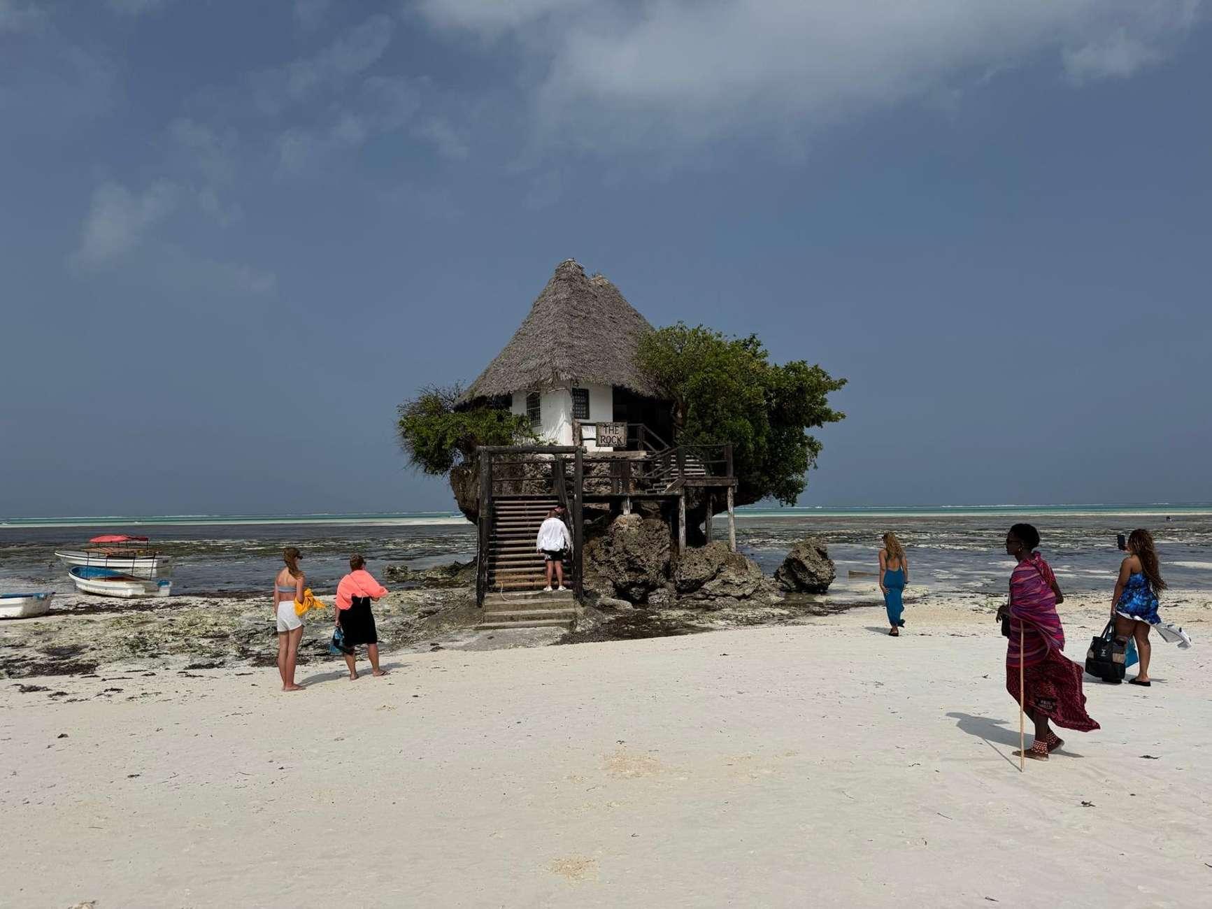Zanzibar: Jozani Forest, Butterfly Centre & Rock Restaurant Day Tour