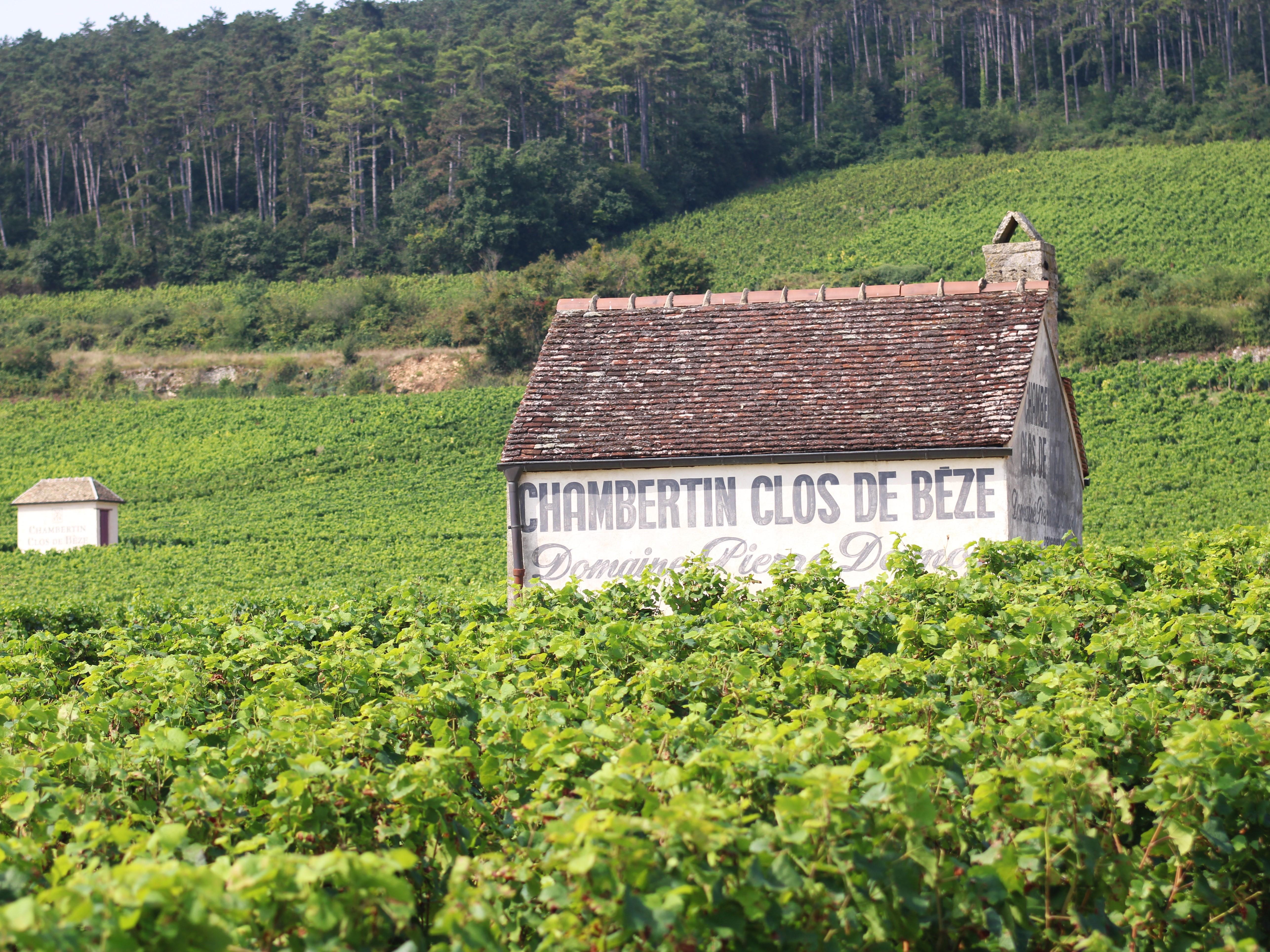 Private Burgundy Wine Discovery Along the Grand Crus Route