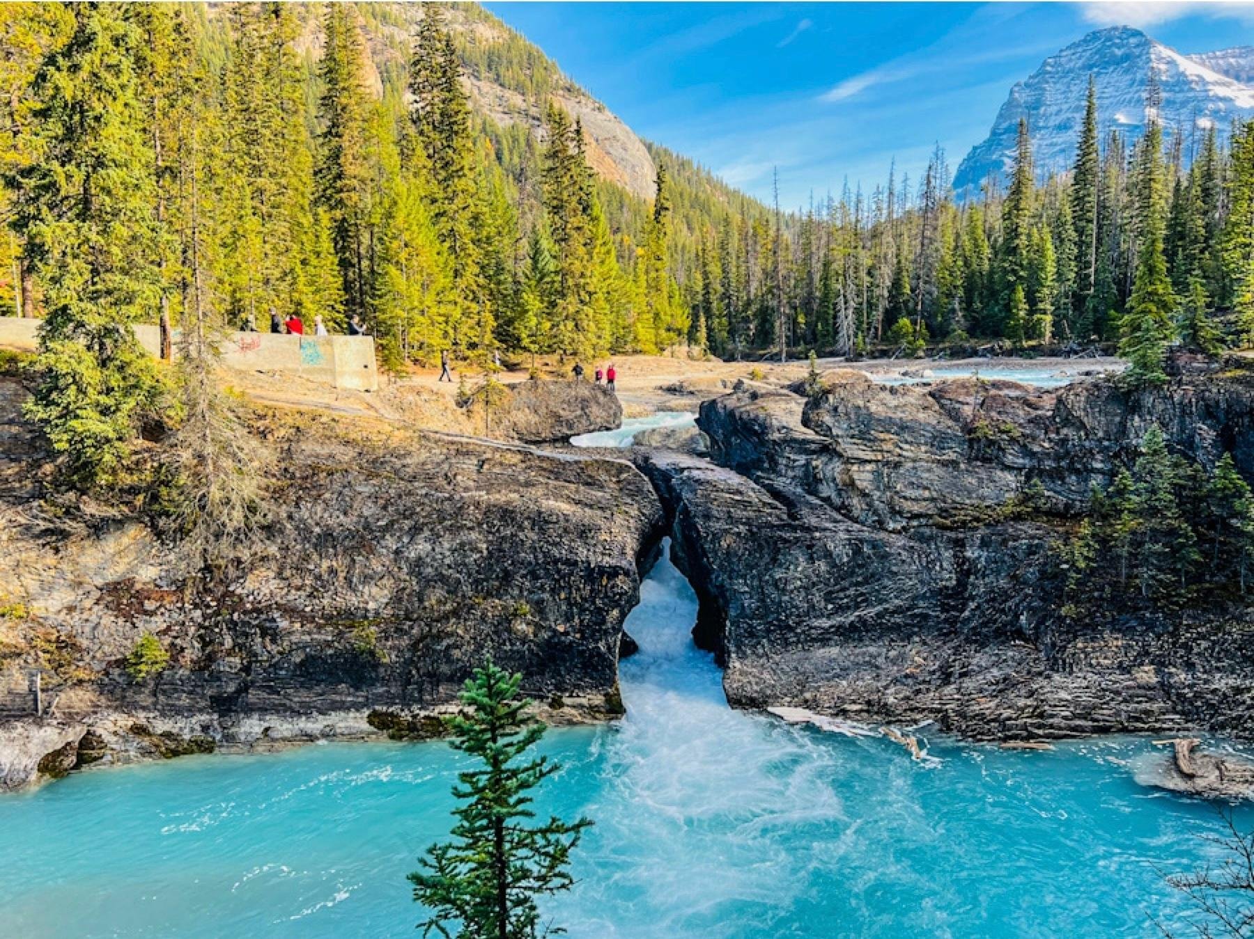 Banff/Calgary: Louise, Moraine, Emerald & Peyto Lake-4 Lakes - 2026 (Verified Reviews)