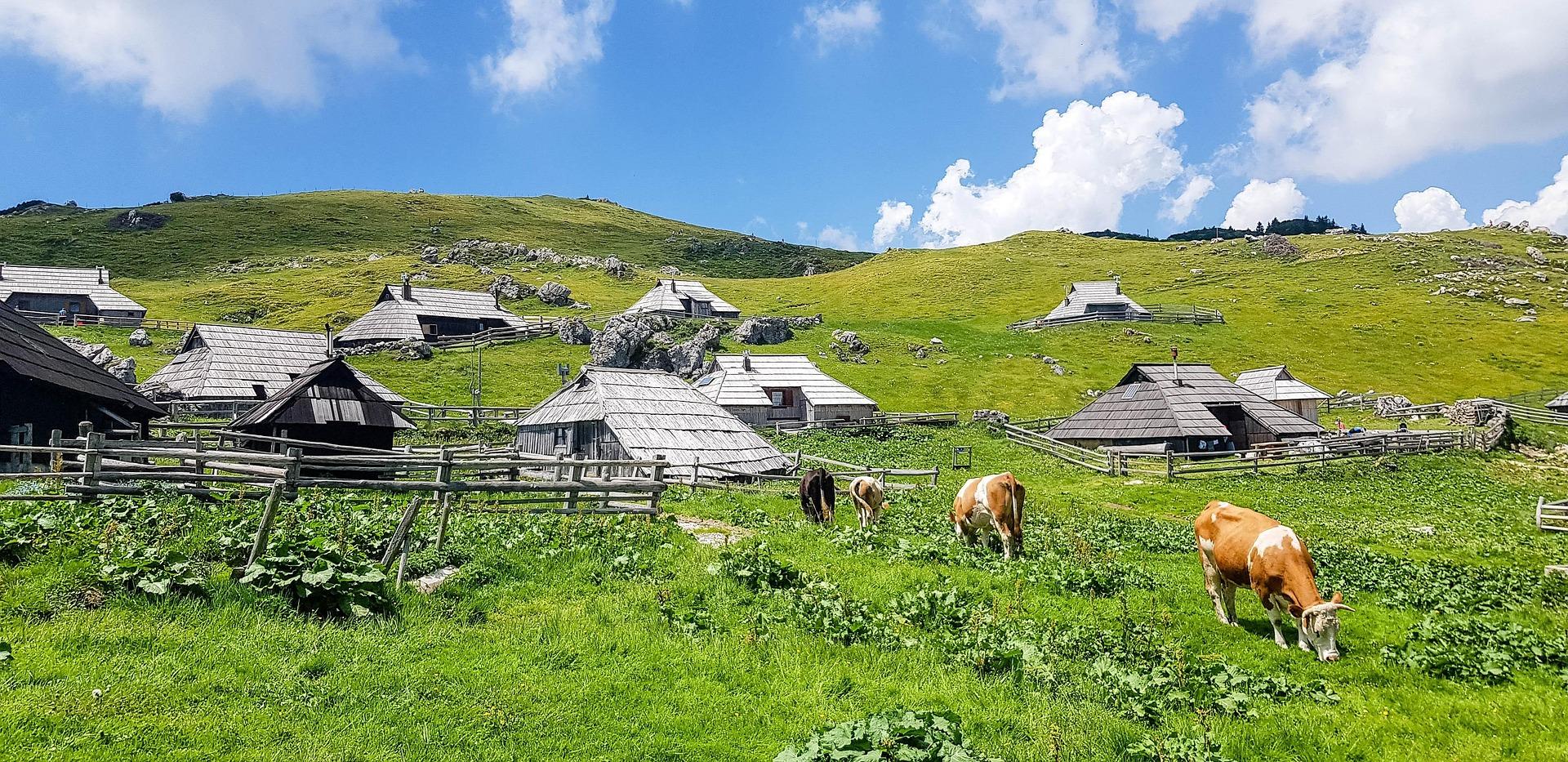 Velika Planina Alpine Pasture Guided Hike from Ljubljana