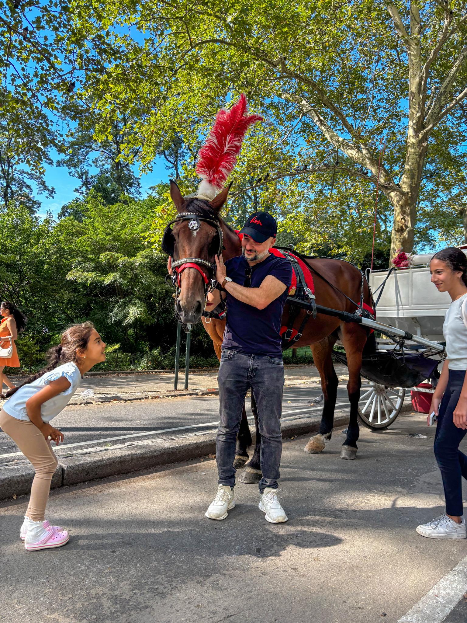 Central Park horse carriage ride — image 6