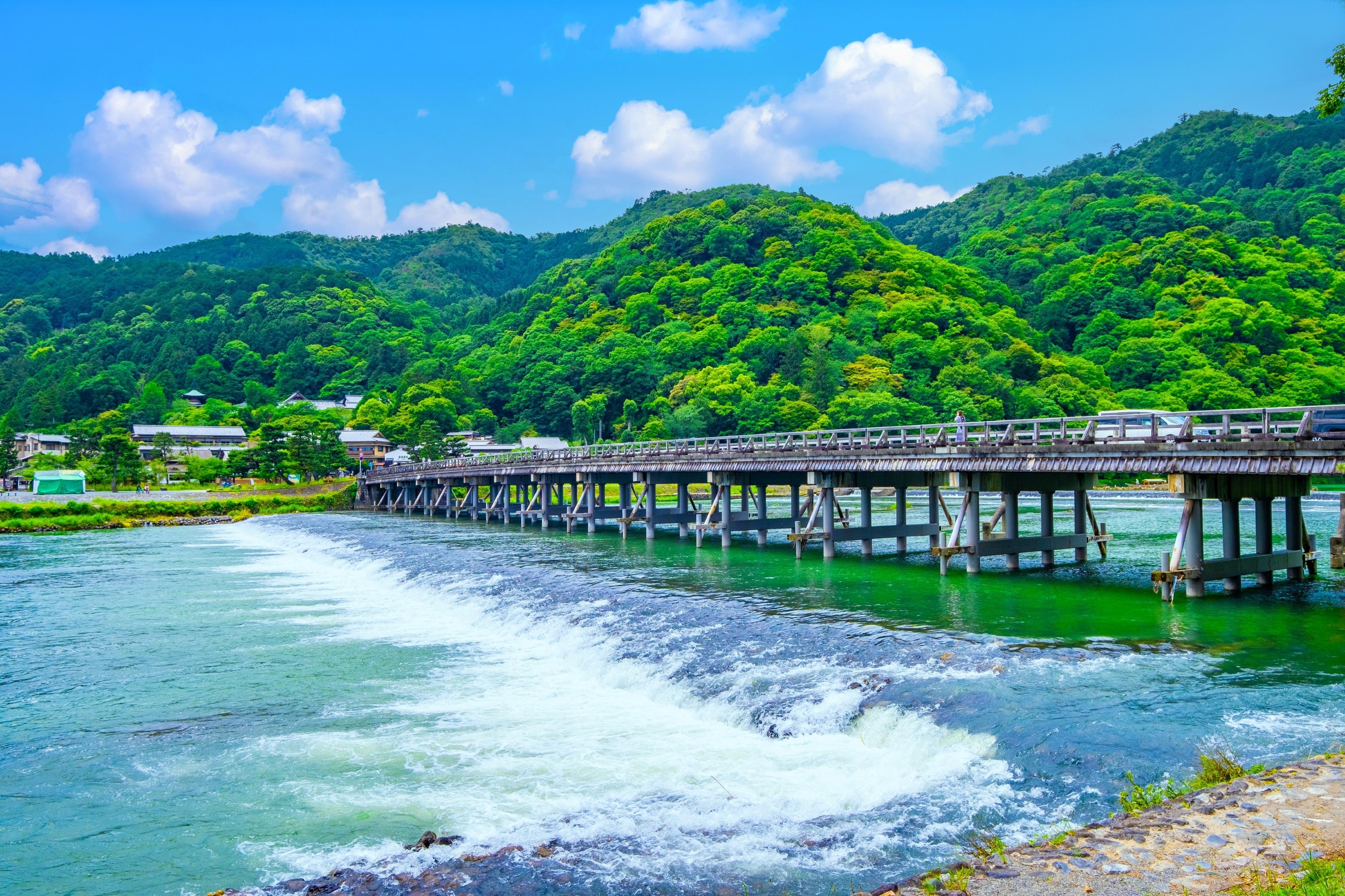 From Osaka/Kyoto: 4 Iconic Kyoto Sights Full-Day Bus Tour
