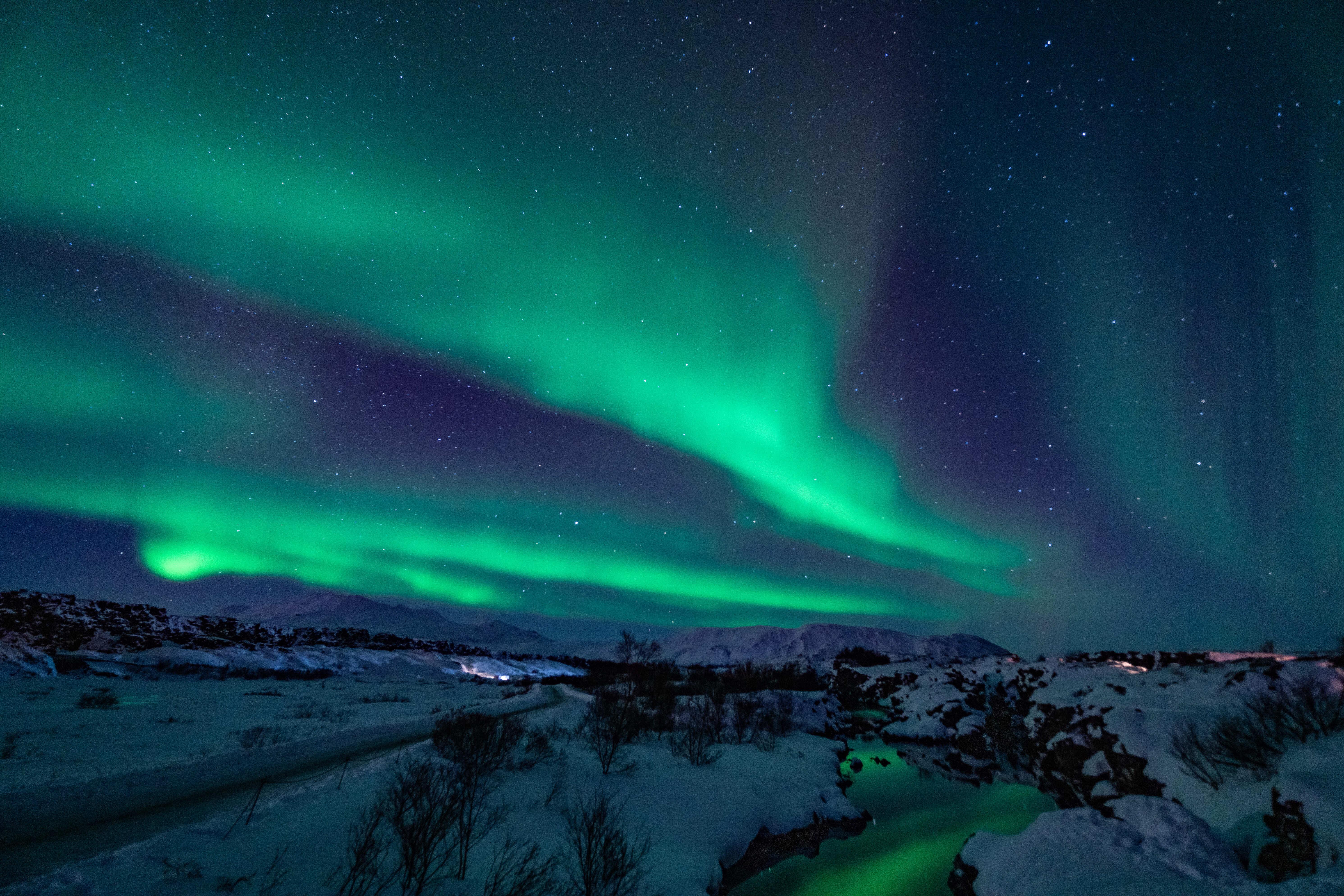 Reykjavik Northern Lights Minibus Hunt with Hot Cocoa