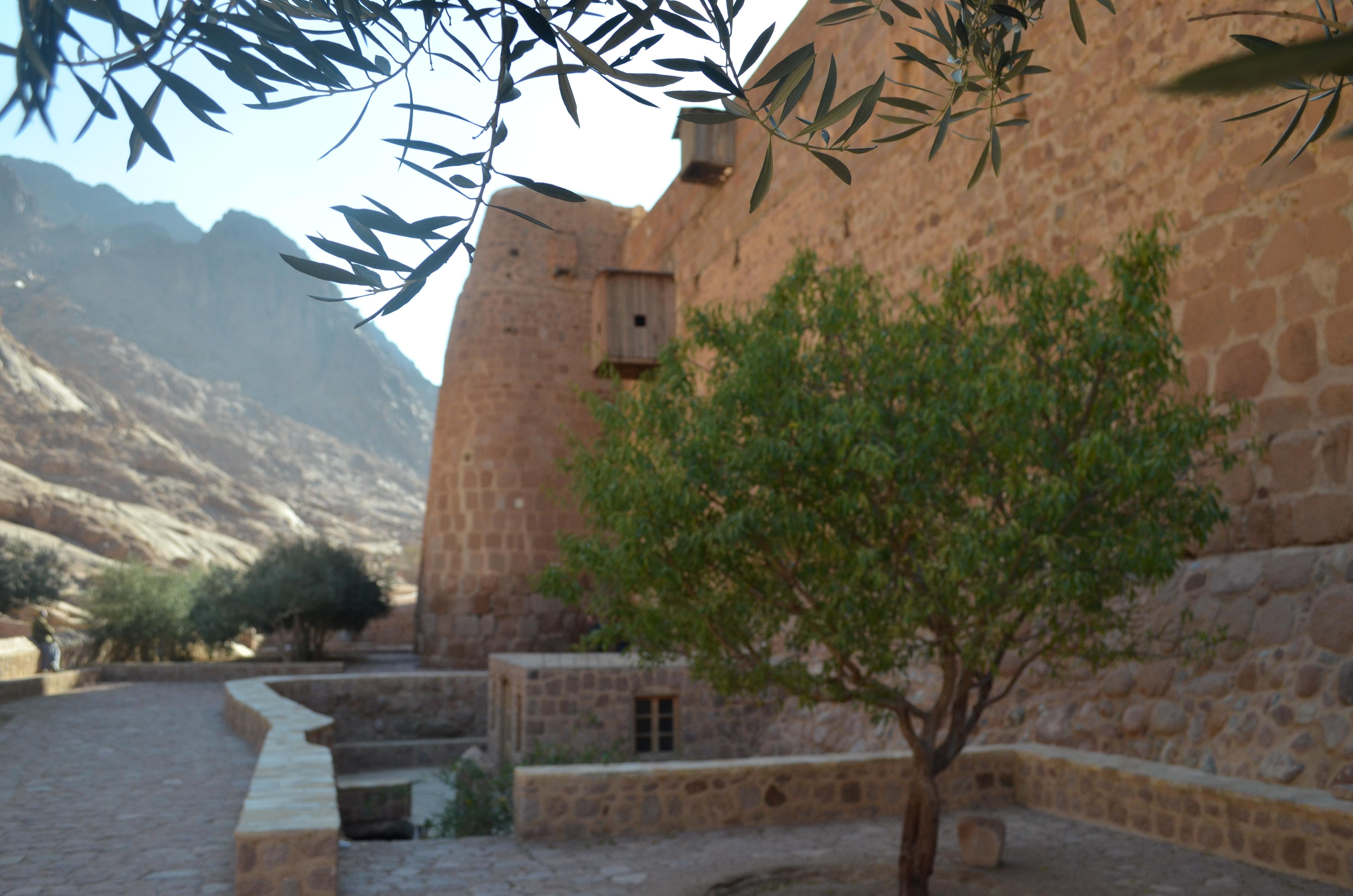 Sharm El Sheikh: Private Day Tour to Saint Catherine's Monastery