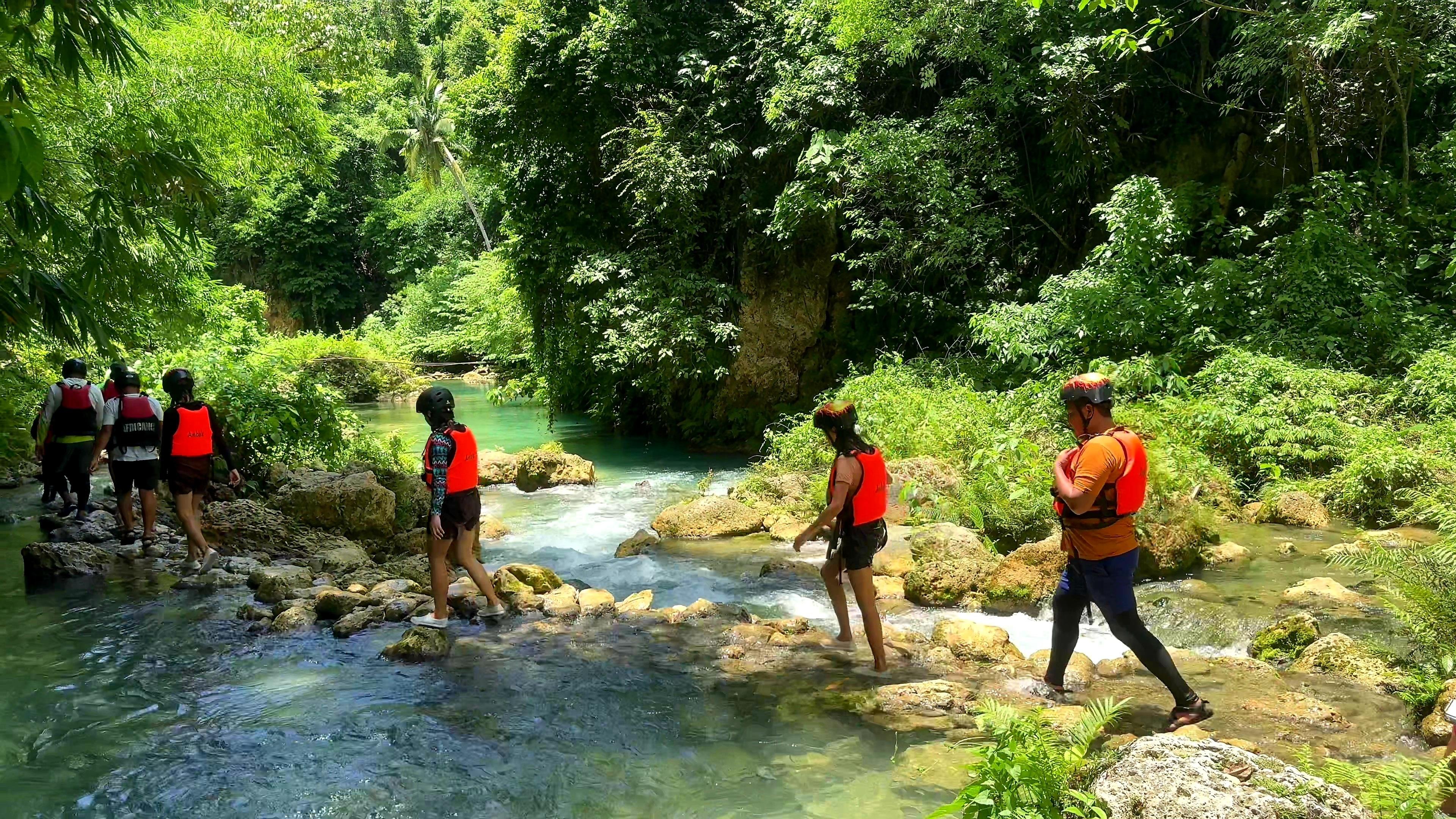 Cebu: Whale Shark Swim & Kawasan Falls Canyoneering Day Tour