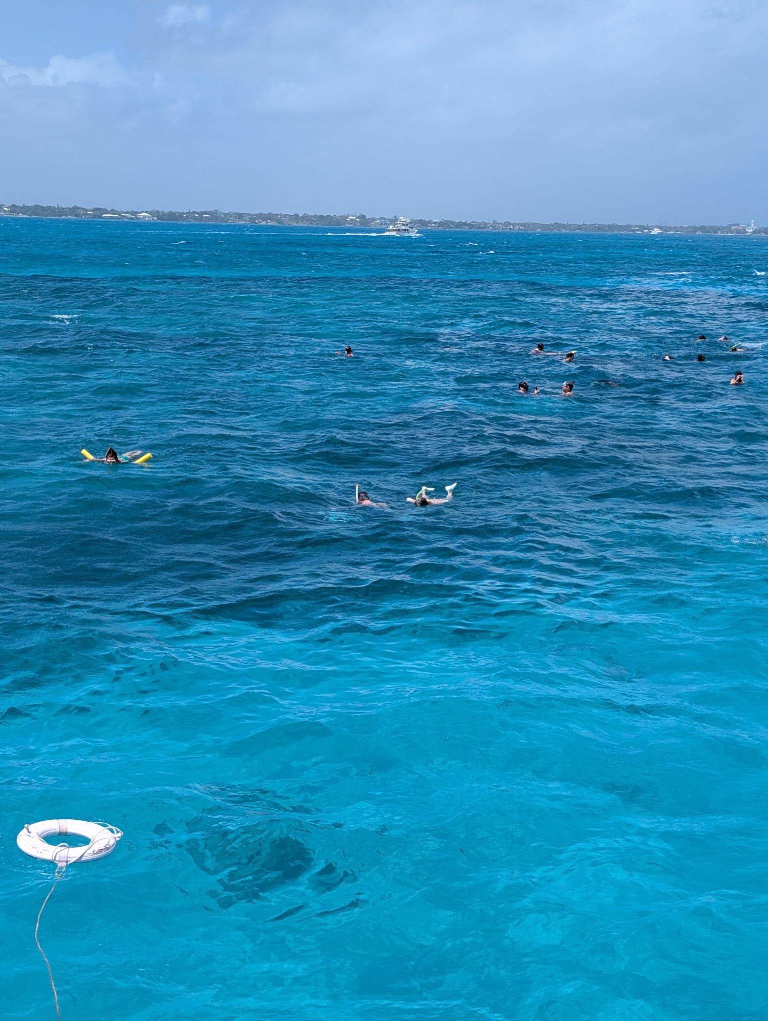 Nassau Catamaran Adventure: Swimming Pigs, Turtles & Snorkeling