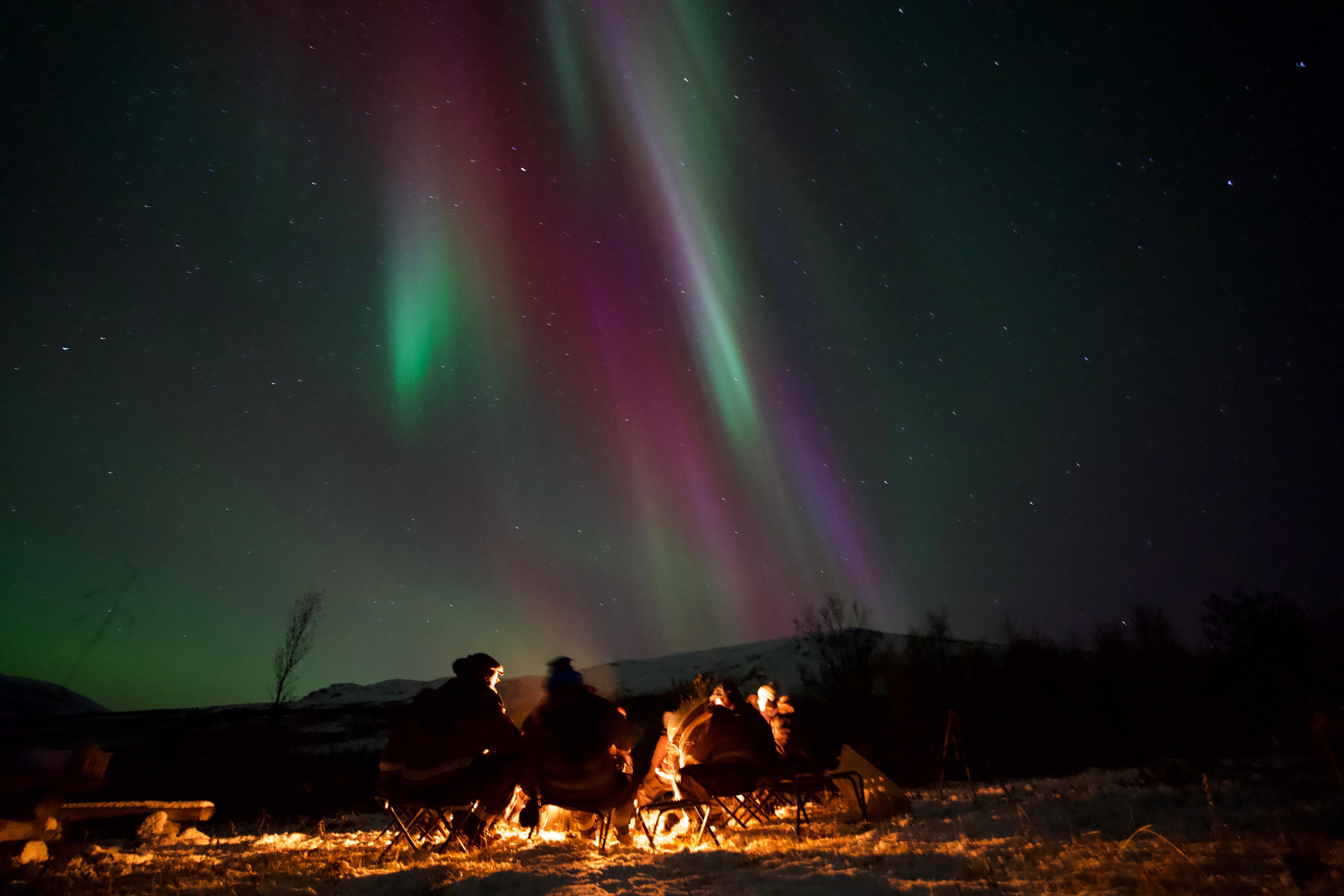 Tromsø: Northern Lights Chase - We Drive Until We Find Them