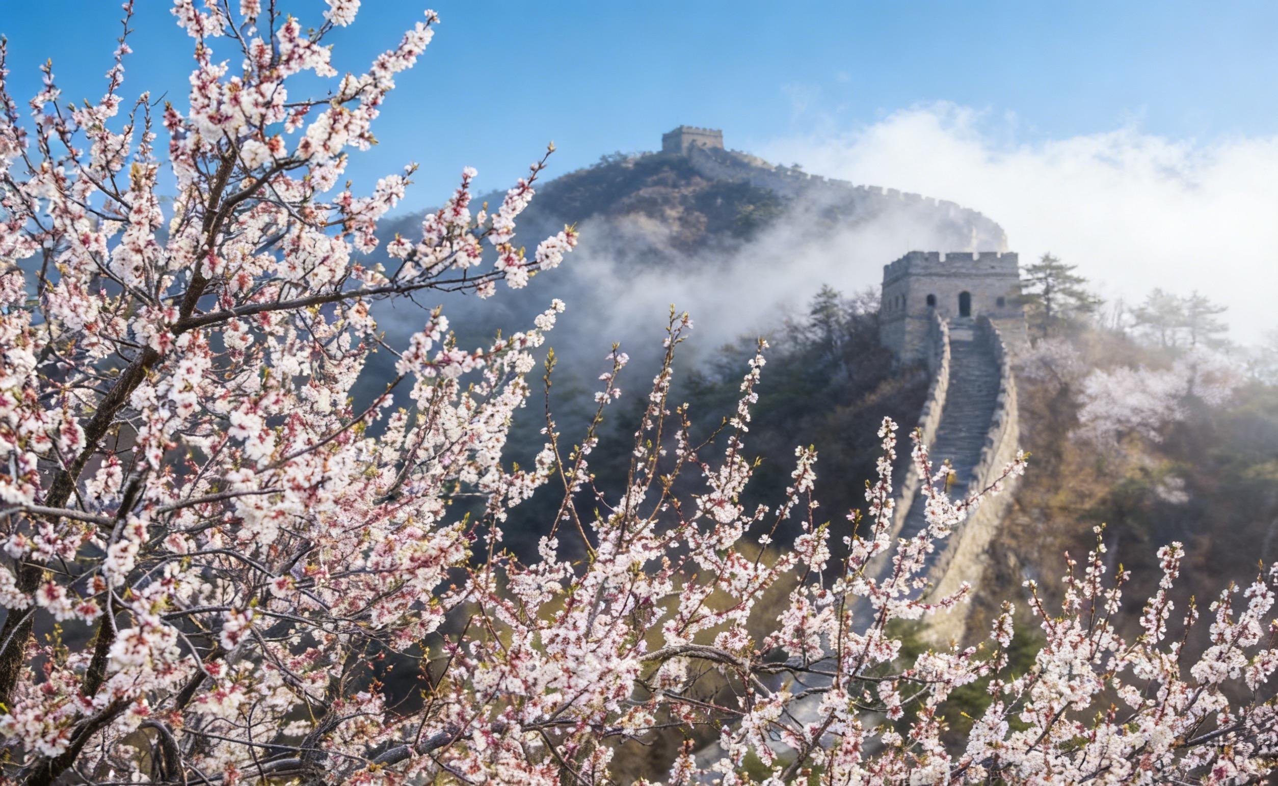 Beijing in a Day: Forbidden City & Great Wall Tour