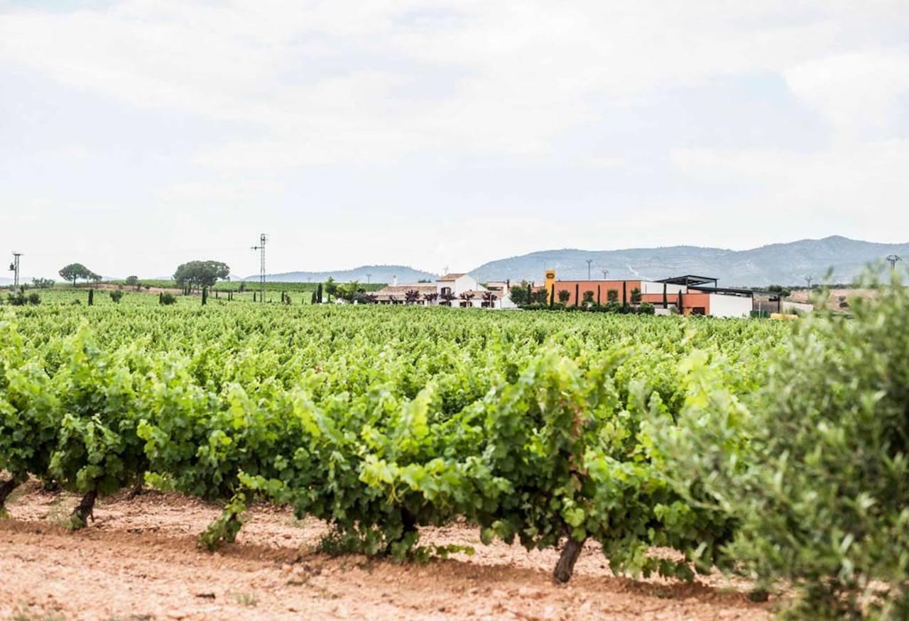 cava tour in Valencia — photo 9