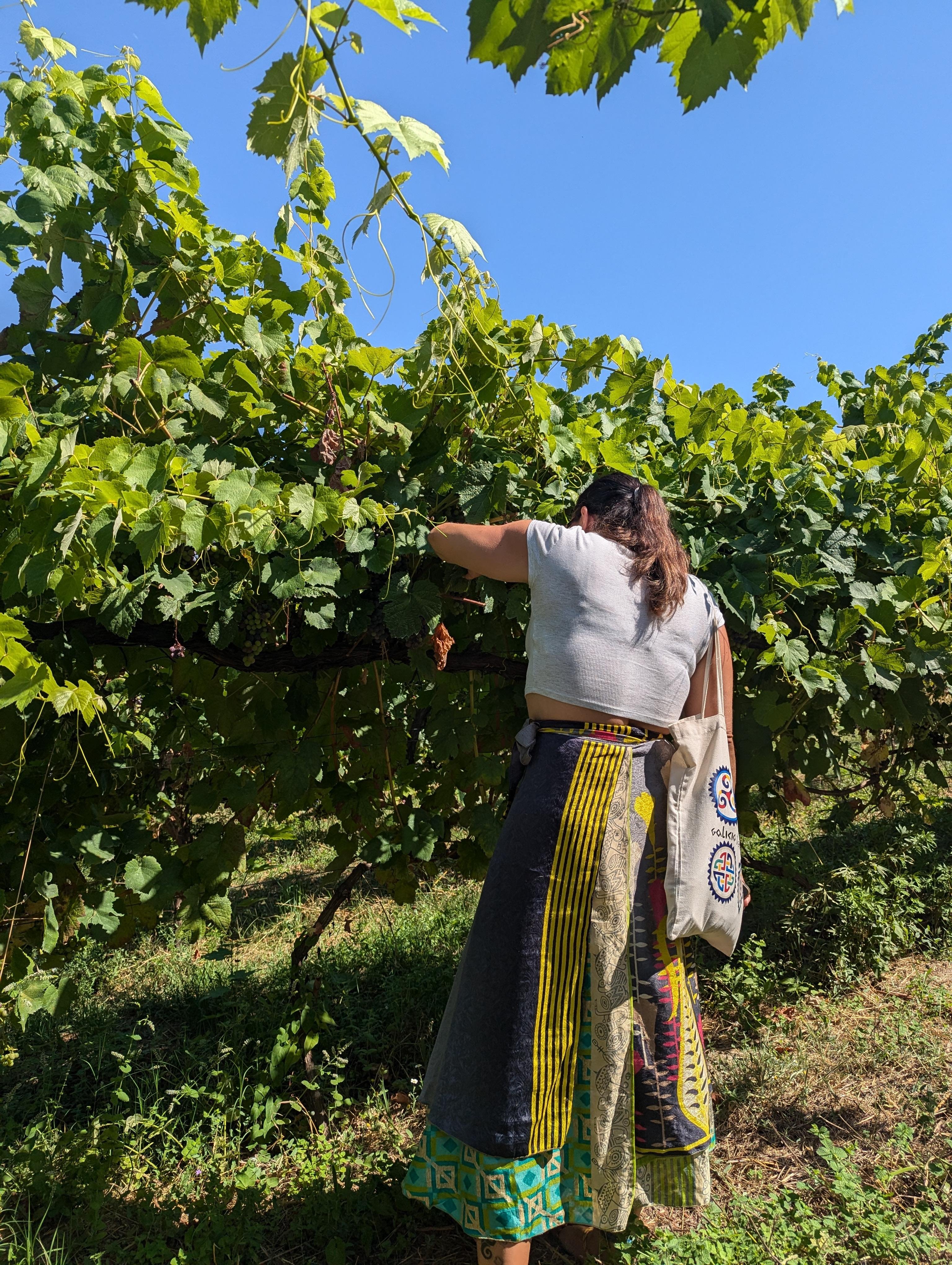 Porto: Douro Valley & Vinho Verde Day Tour with Tastings, Lunch & Boat Cruise