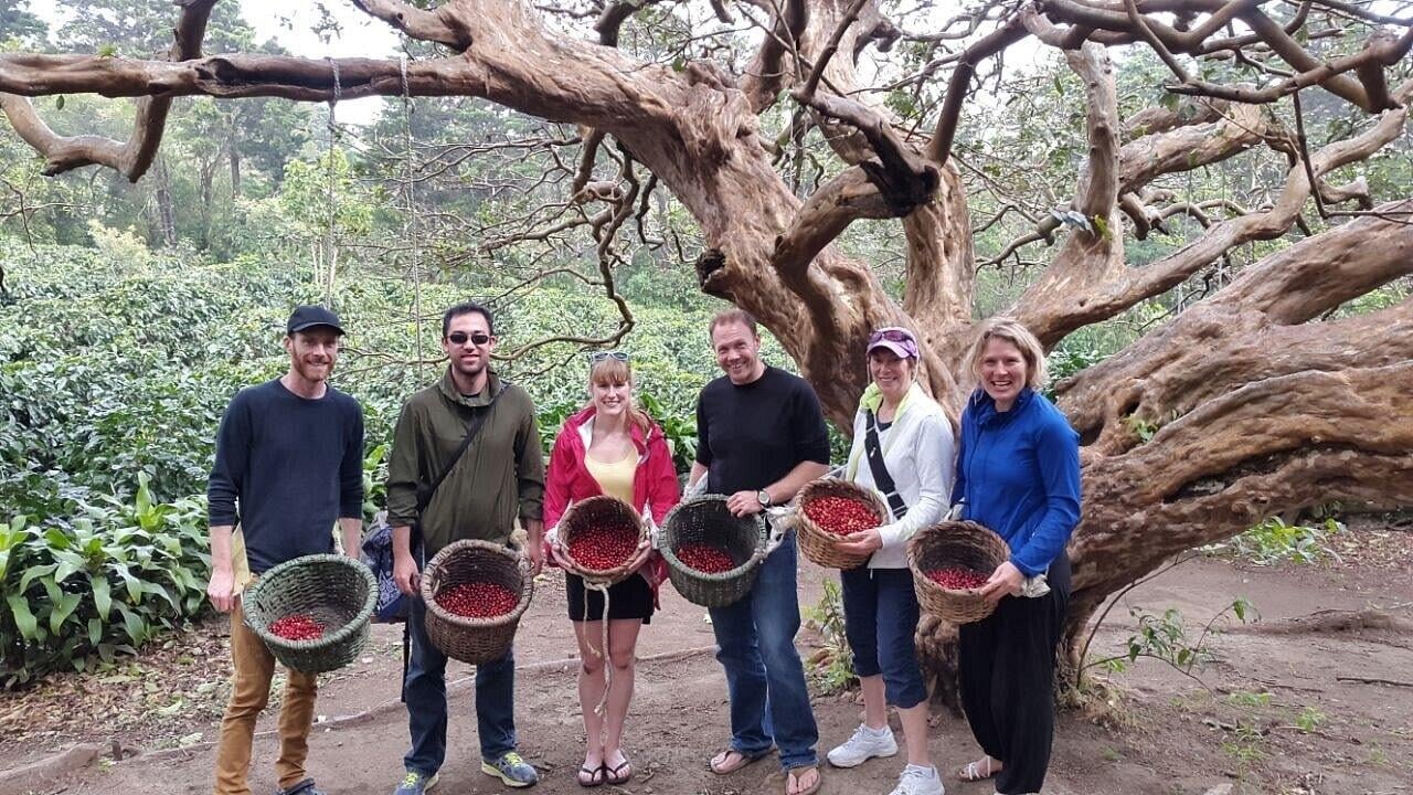 Monteverde Coffee Farm & Roastery Tour with Tasting
