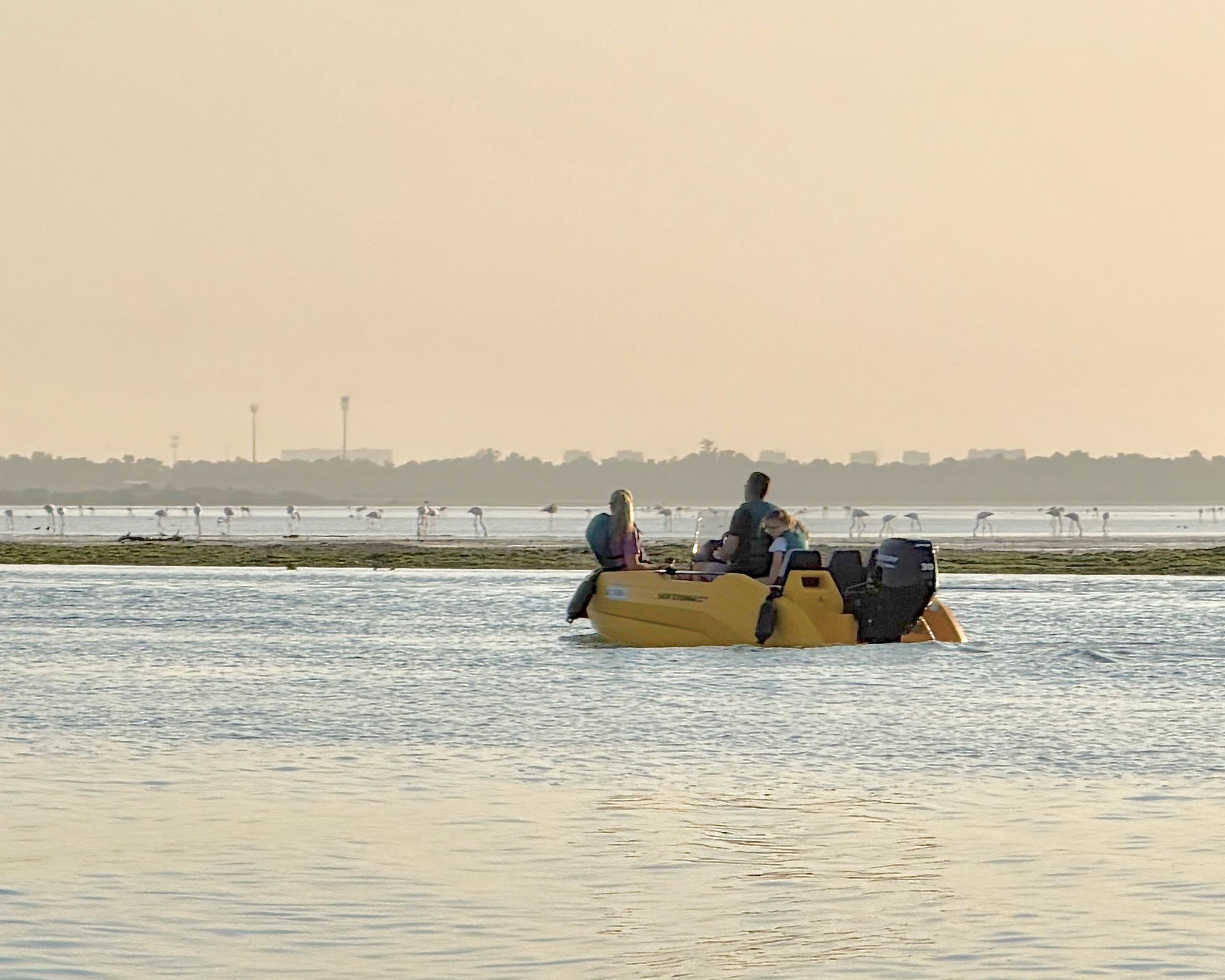 Yas Island Self-Drive Speedboat Tour with GPS Audio Guide