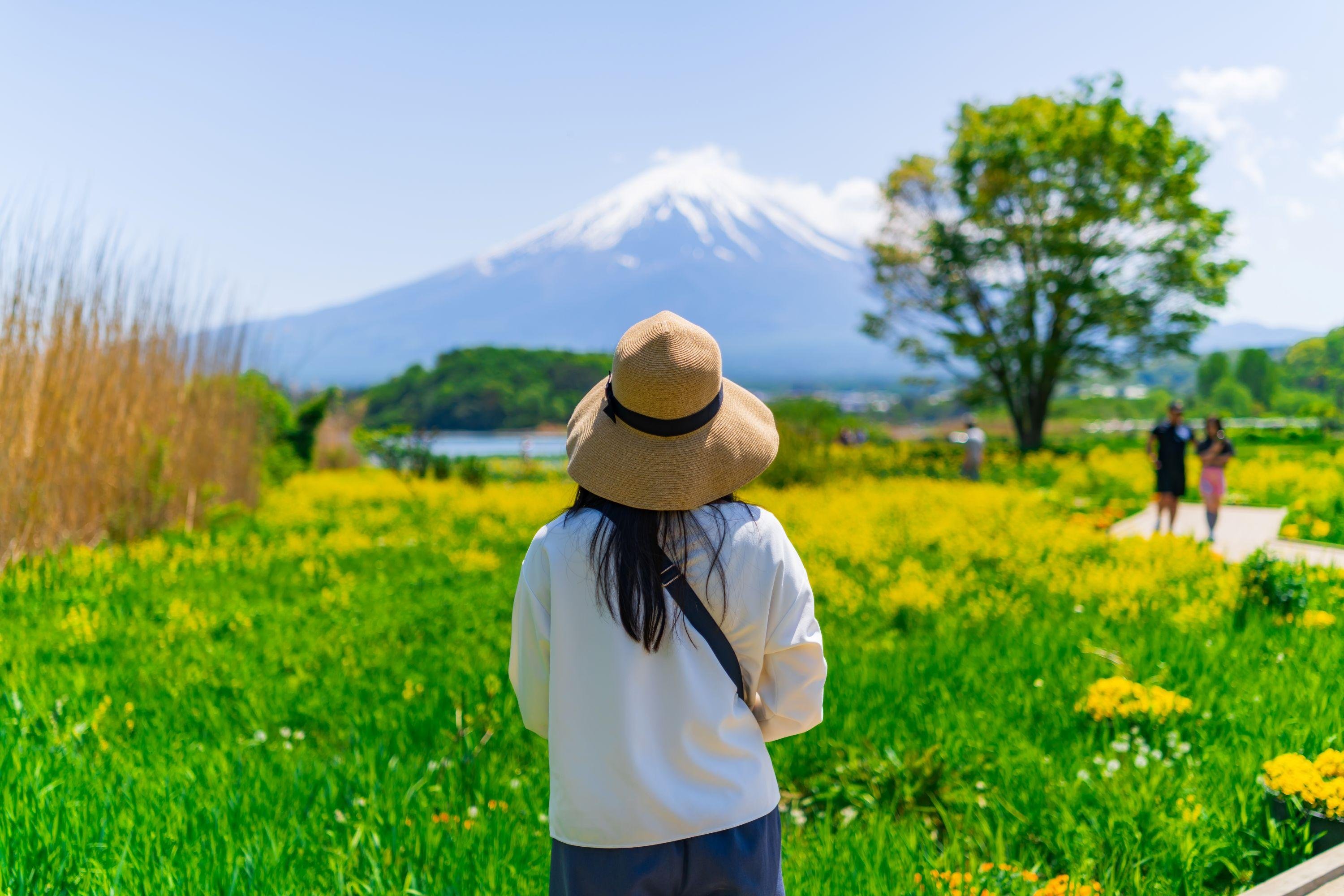Mount Fuji Full-Day Tour from Tokyo: Two Routes, One Iconic Mountain