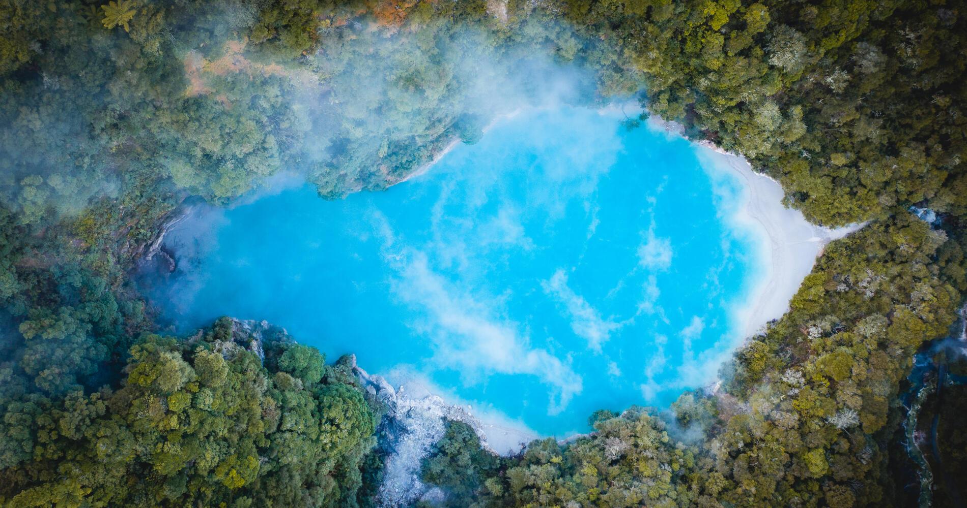 Waimangu Valley, Redwoods & Blue Spring Day Tour from Auckland