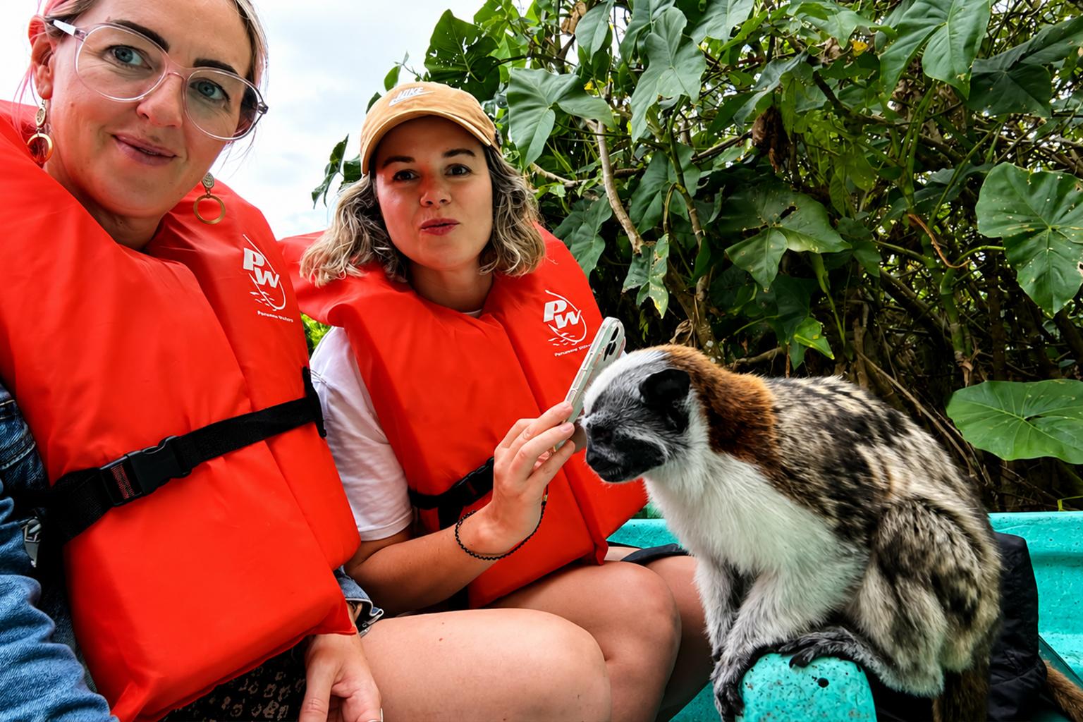 Panama Canal wildlife tour in Soberania National Park and on Gatun Lake — image 4
