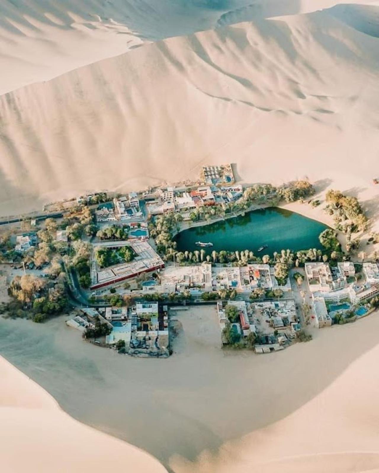Excursión de un día a Paracas y Huacachina: vida silvestre, aventura en el desierto y cata de vinos