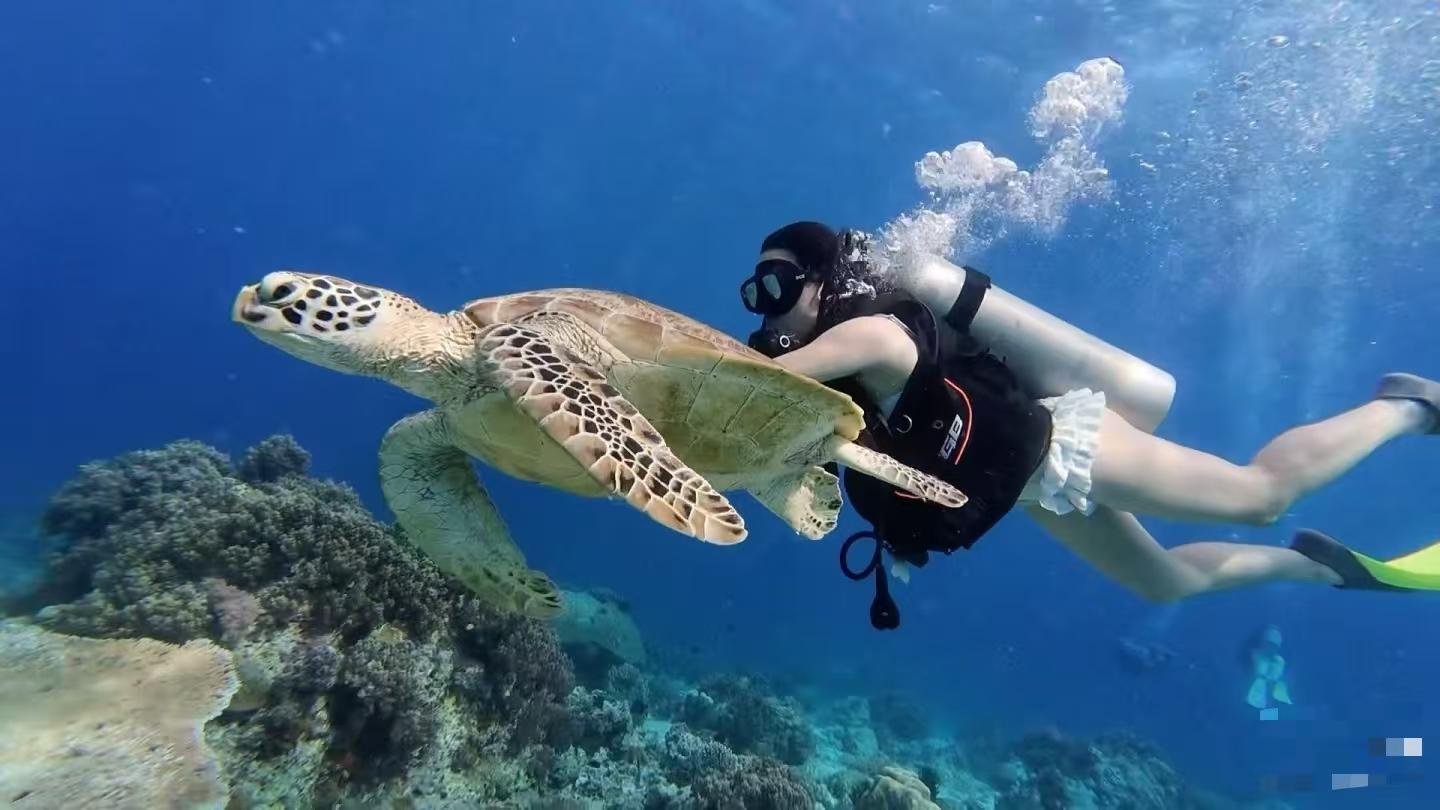Semporna Three-Island Snorkeling Adventure with Lunch