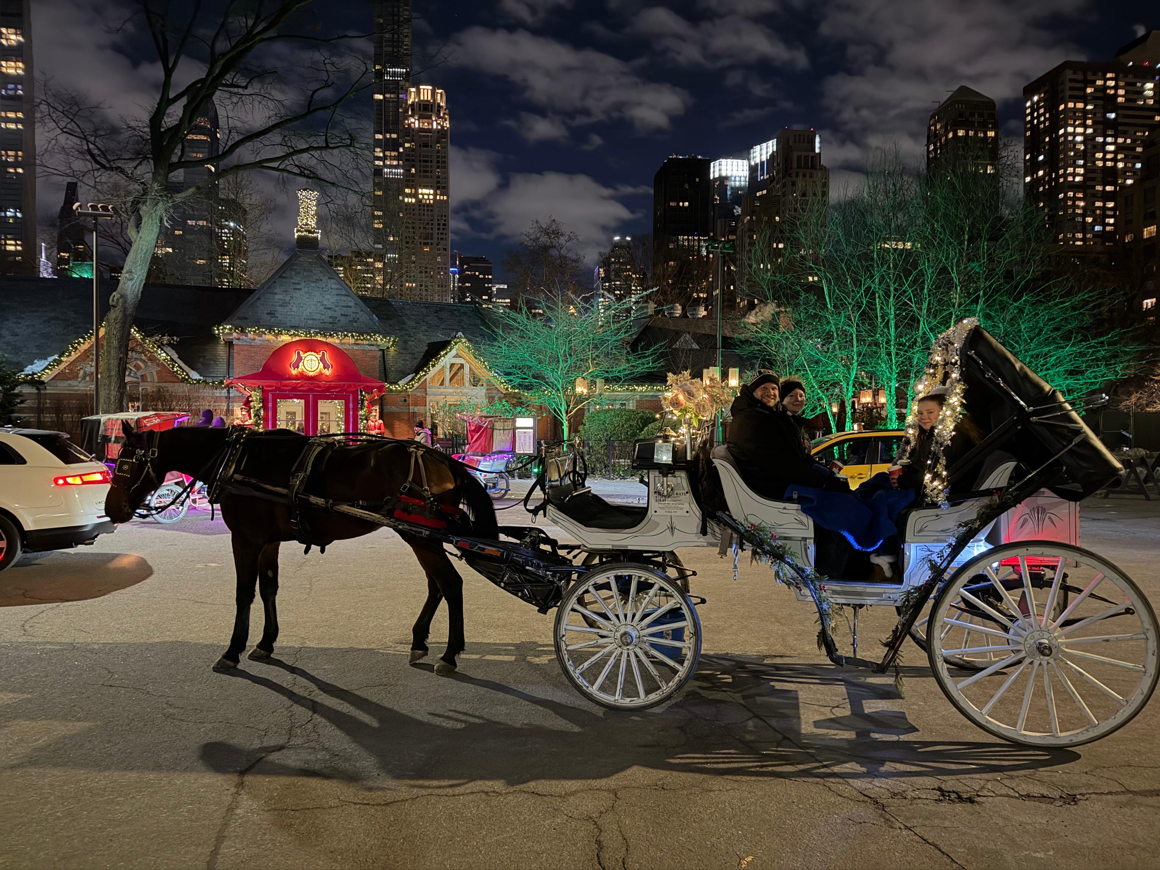 Private Central Park Horse Carriage Tour with Guide