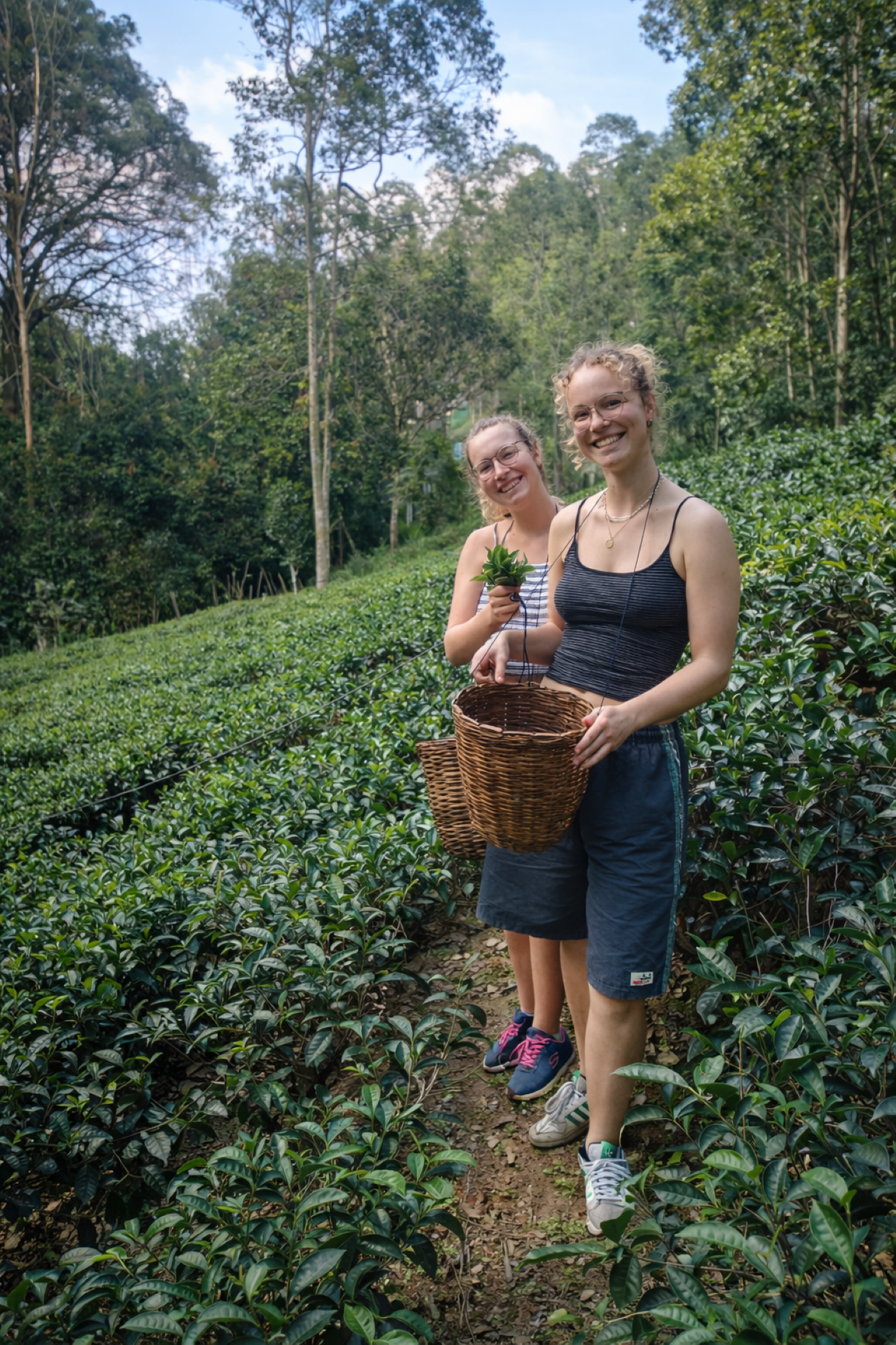 Ella: Hands-On Tea Making and Tasting Experience