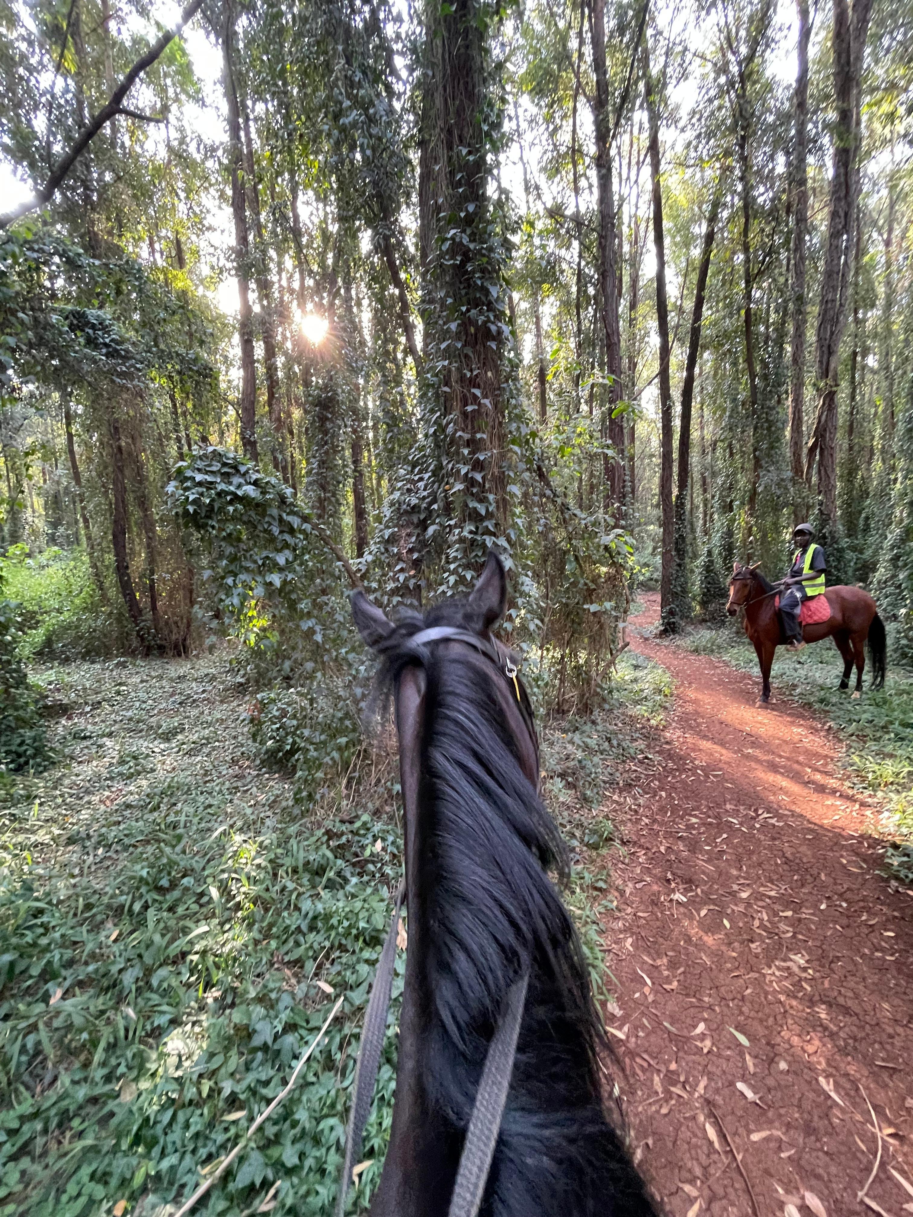 Karura Forest Horseback Adventure