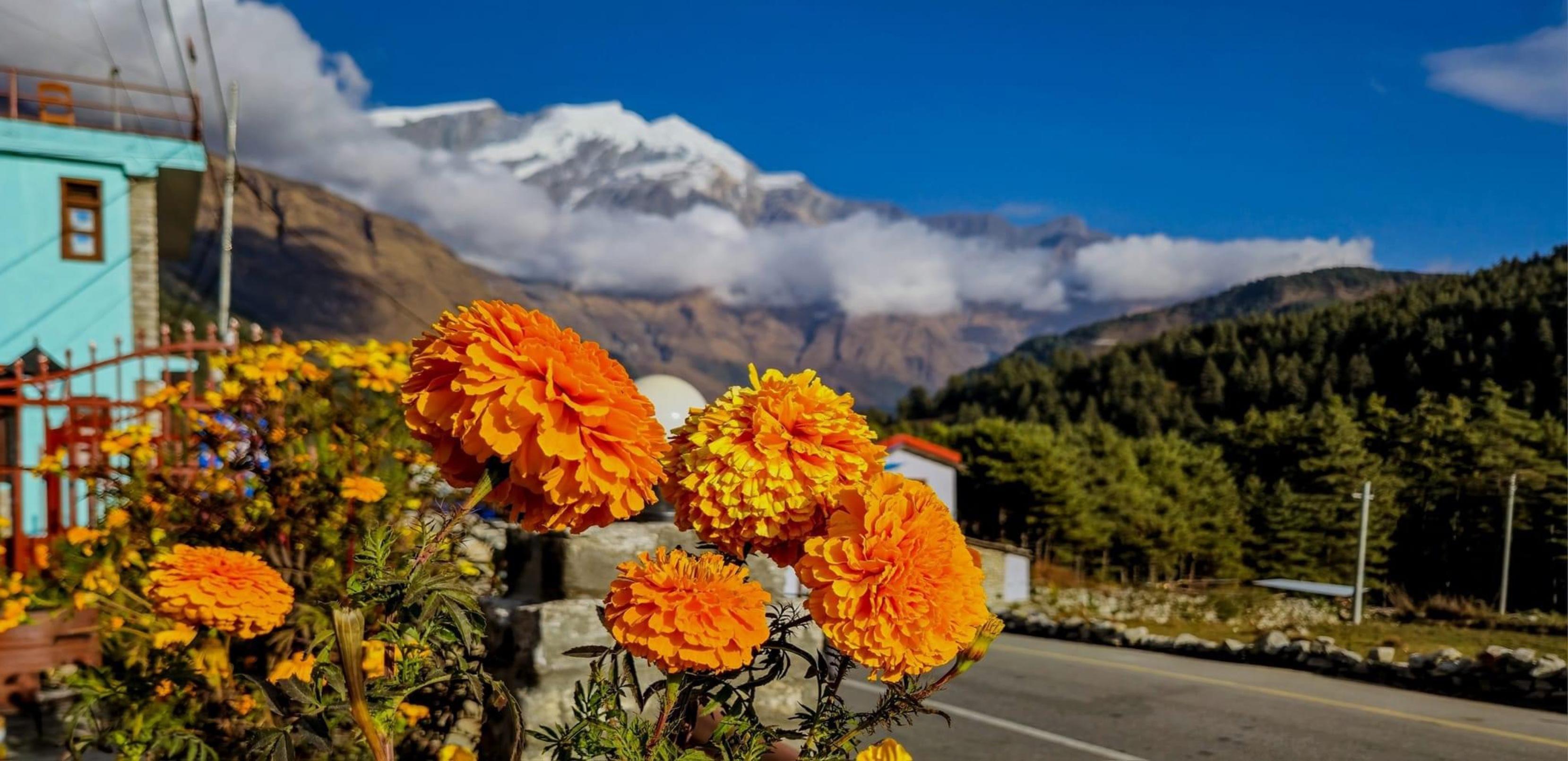 Pokhara Lake, Hike & Sunrise Adventure Tour