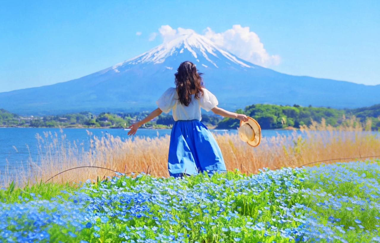 Mount Fuji Top 5 Highlights Day Tour from Tokyo