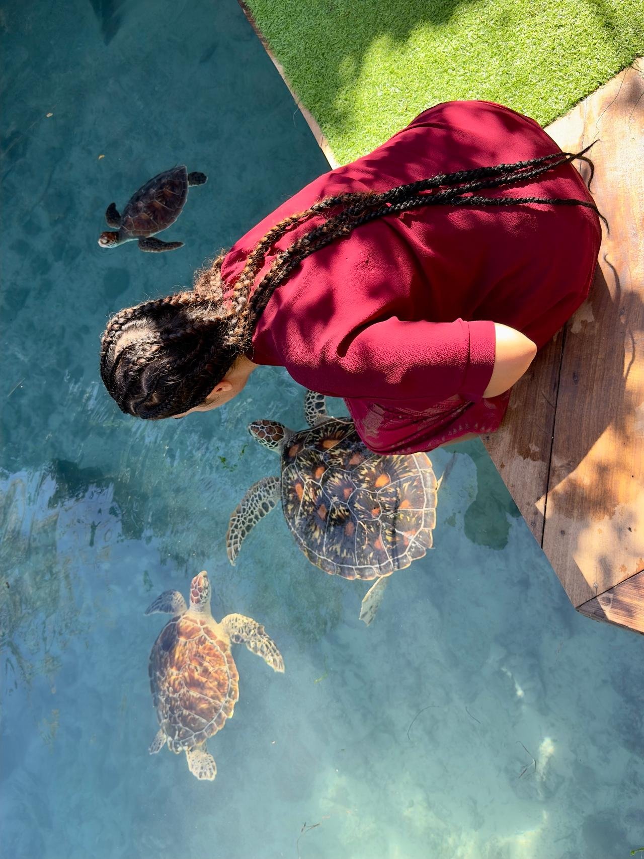 Zanzibar: Swim with Sea Turtles at Salaam Cave, Kizimkazi