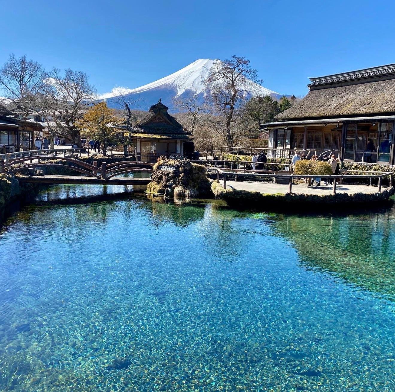 Customizable Mount Fuji Private Day Trip from Tokyo