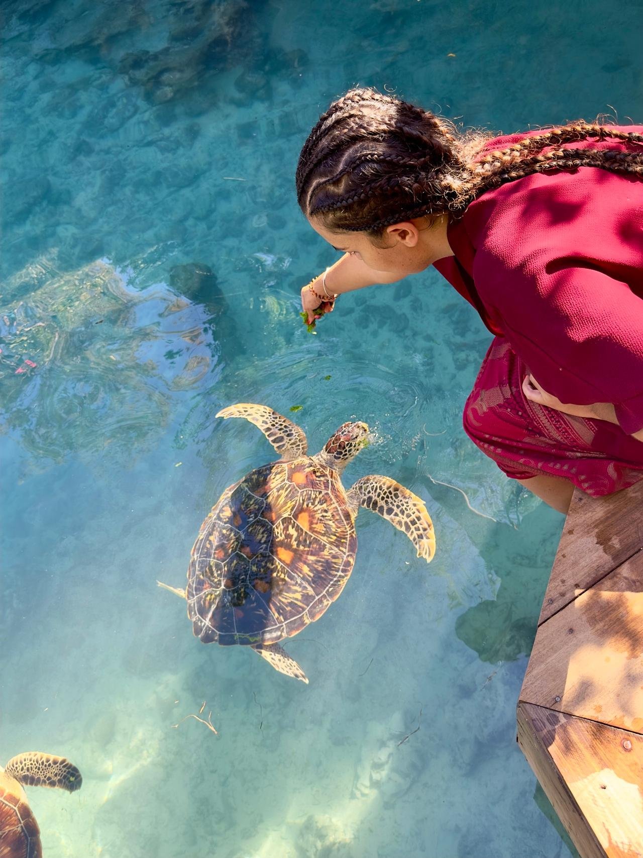 Zanzibar: Swim with Sea Turtles at Salaam Cave, Kizimkazi