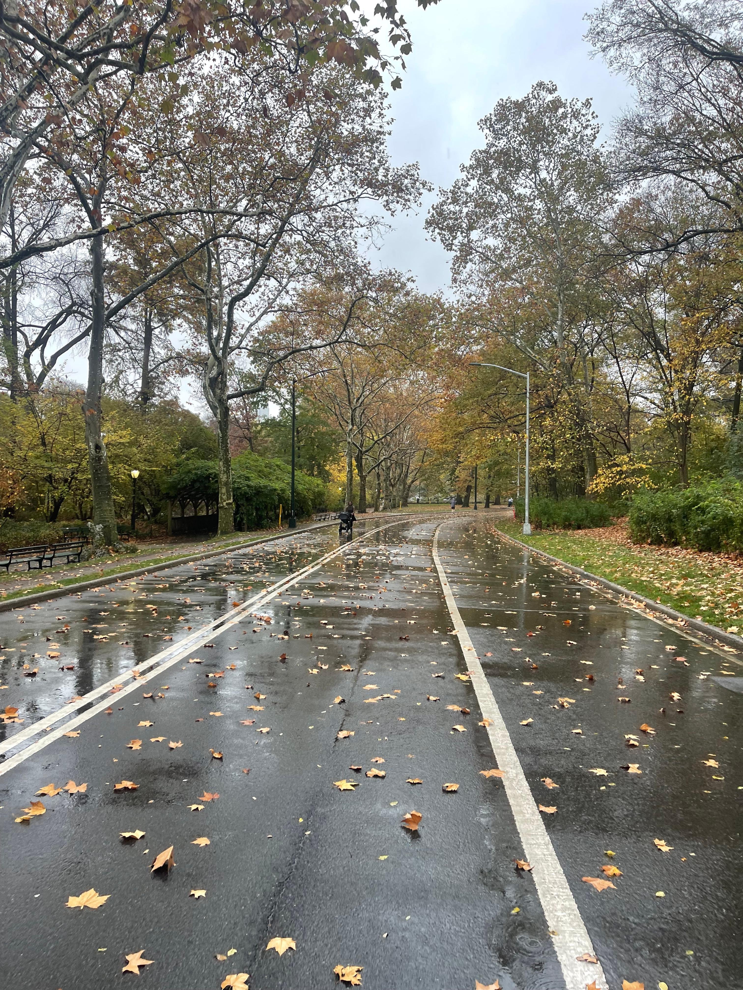 Central Park Exploration by Pedicab or Carriage