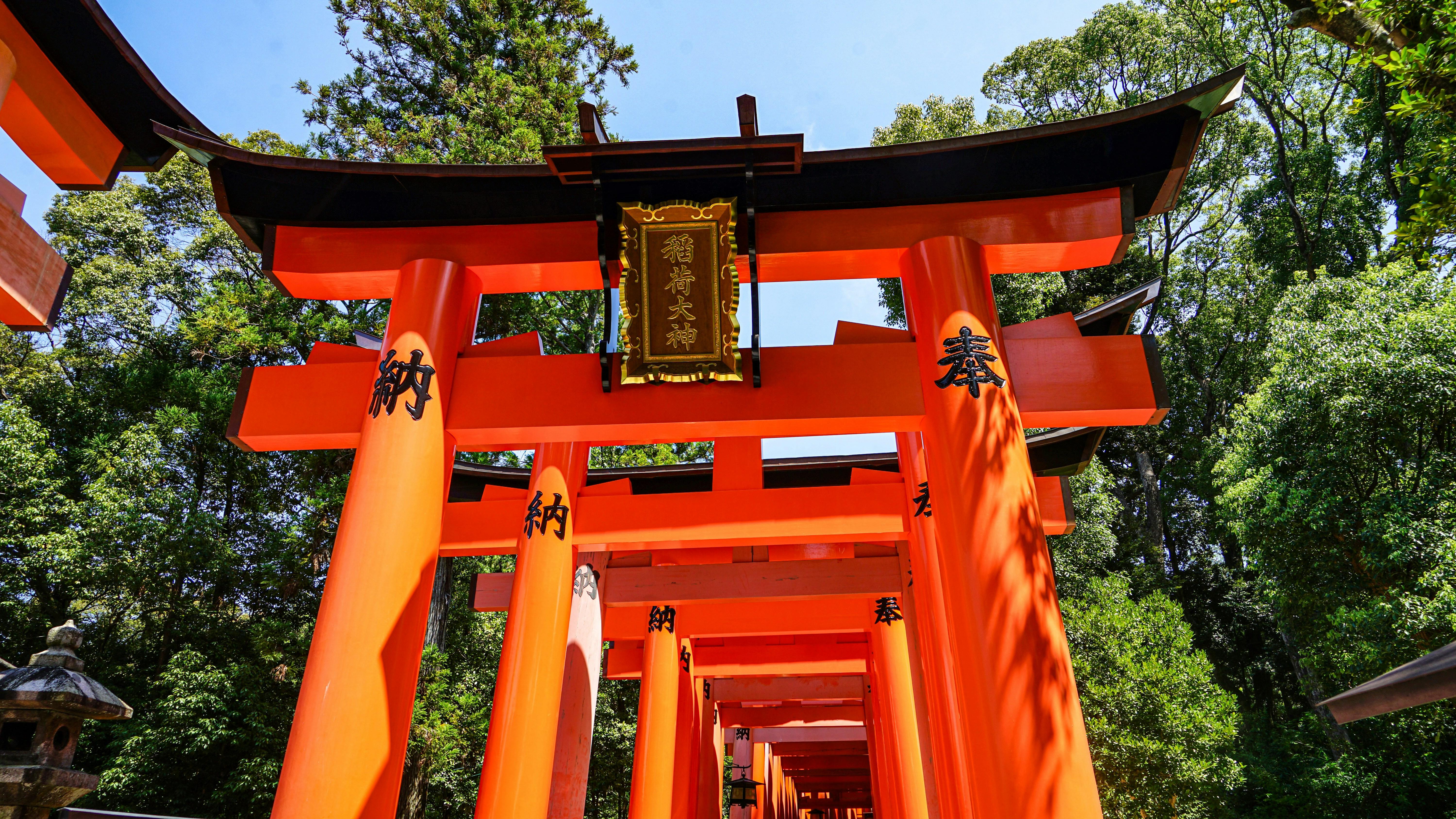 Kyoto Early Bird: Fushimi Inari, Nijo Castle & Kinkaku-ji