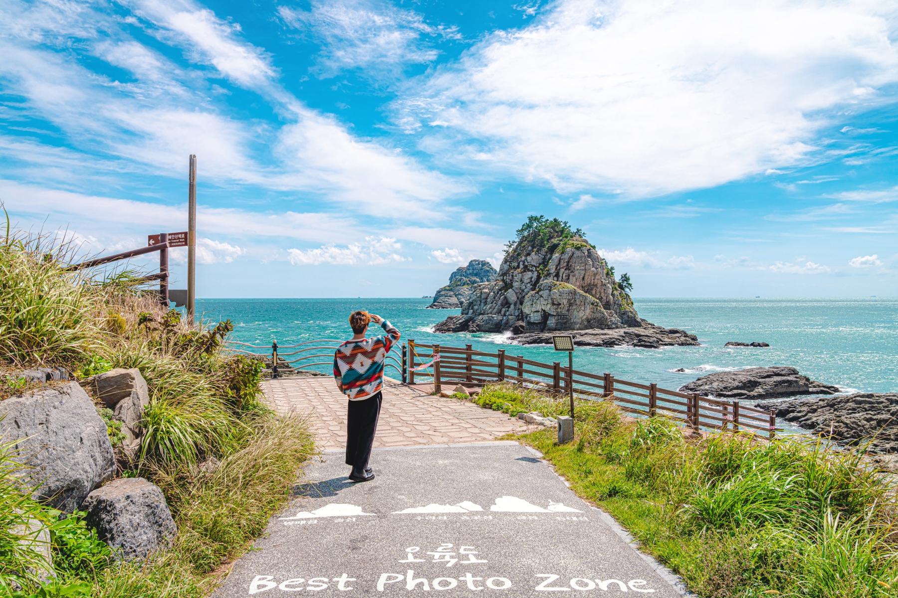 Busan: Max Out City Highlights Photo Spots Full Day Tour