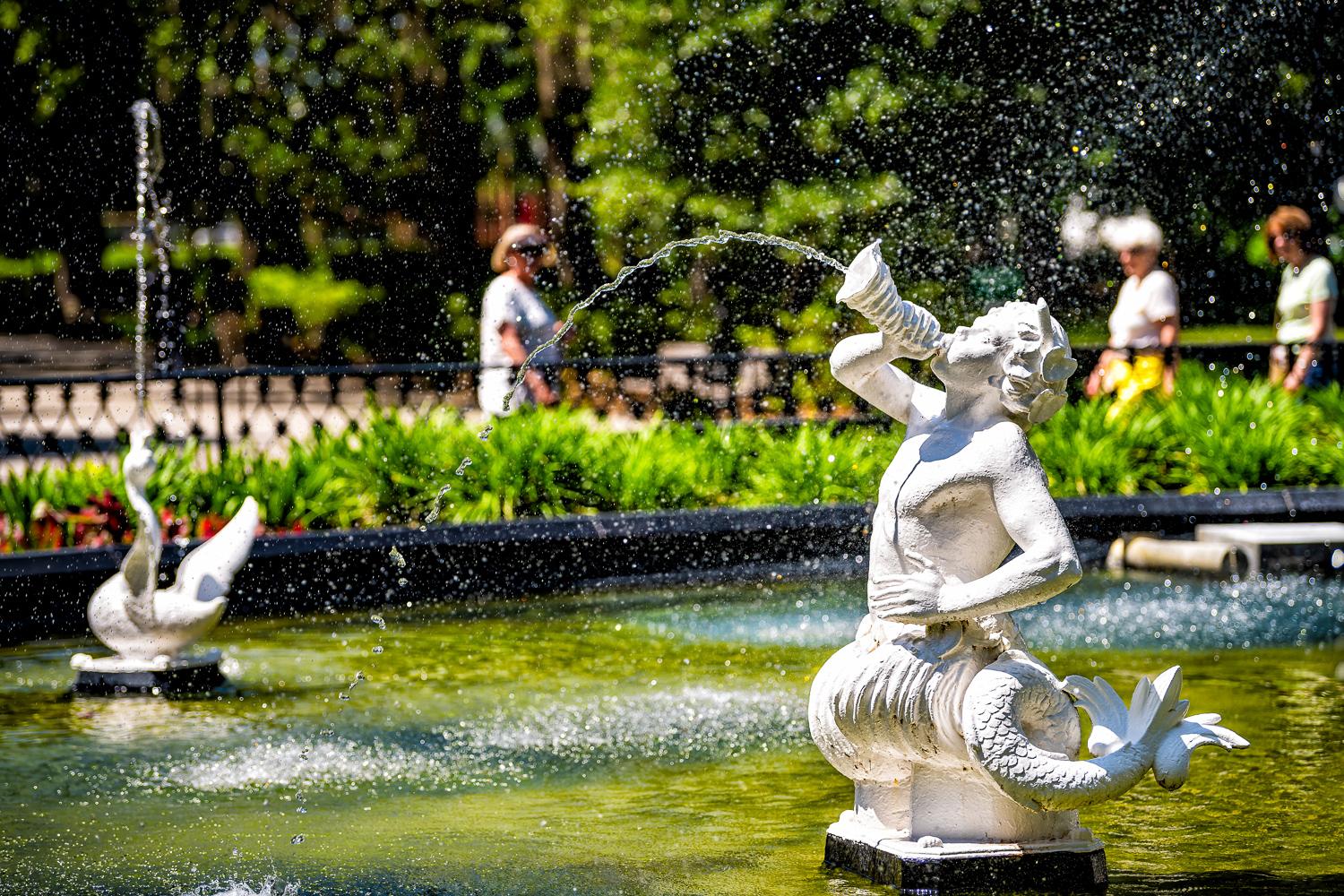 Savannah: History and Culture Walking Tour