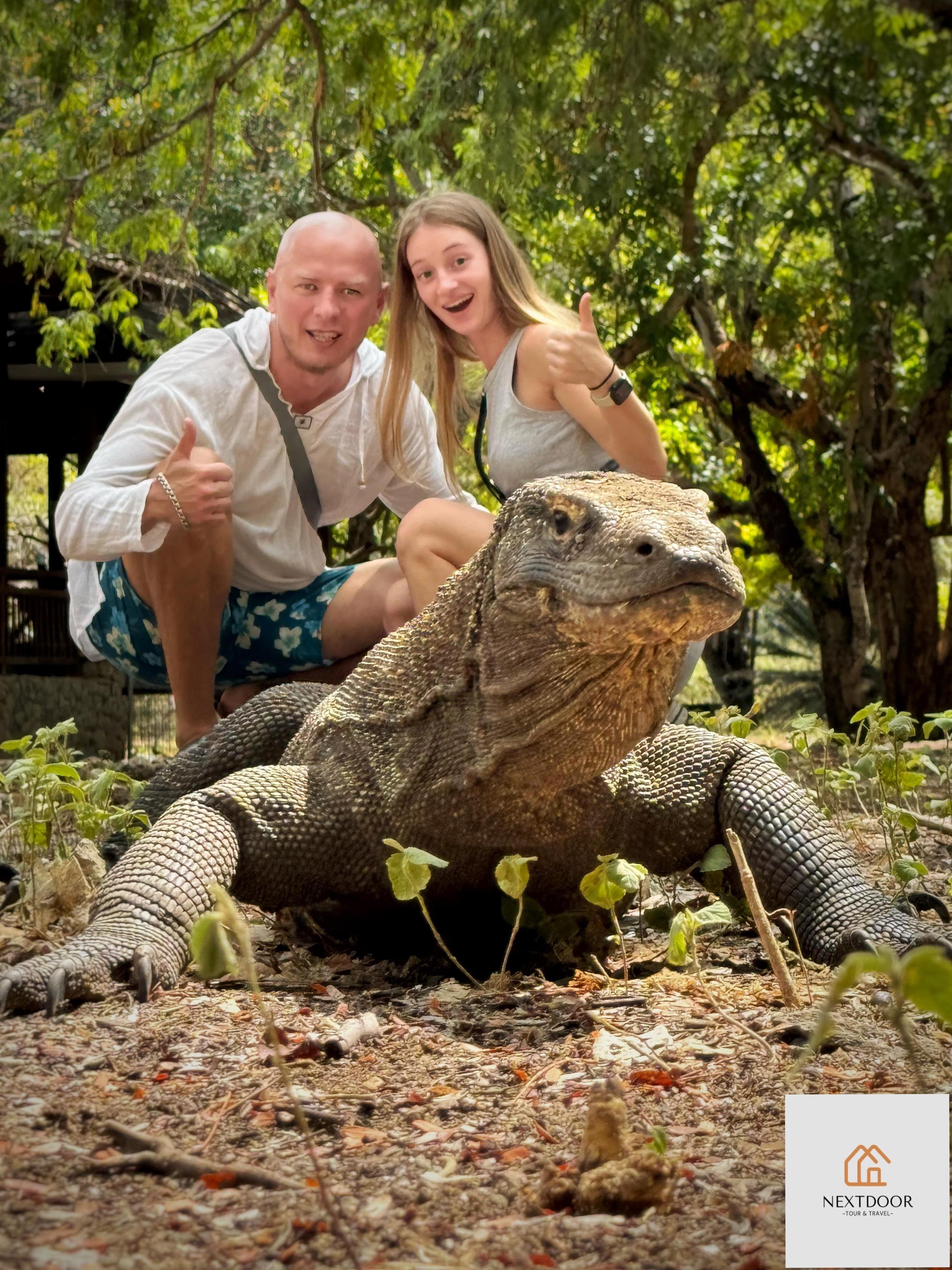 Komodo & Pink Beach 2-Day Shared Boat Adventure from Labuan Bajo