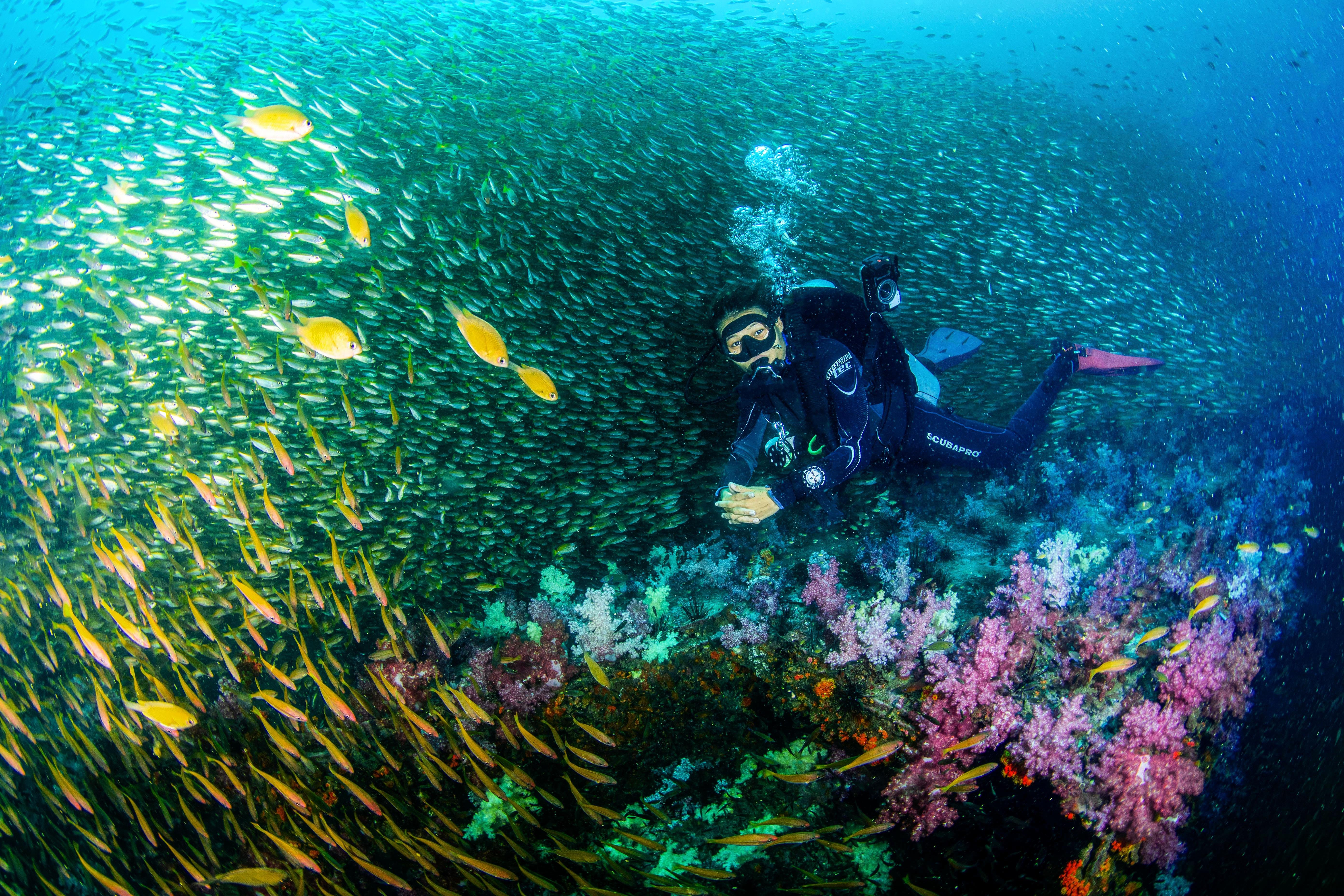 3-Day SSI Open Water Diver Certification in Phuket