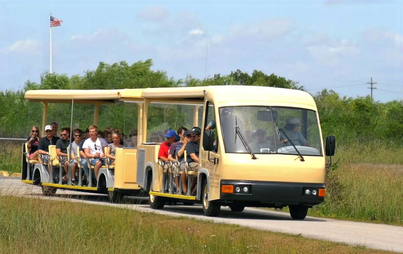 Miami Everglades Tram Tour & Wildlife Adventure