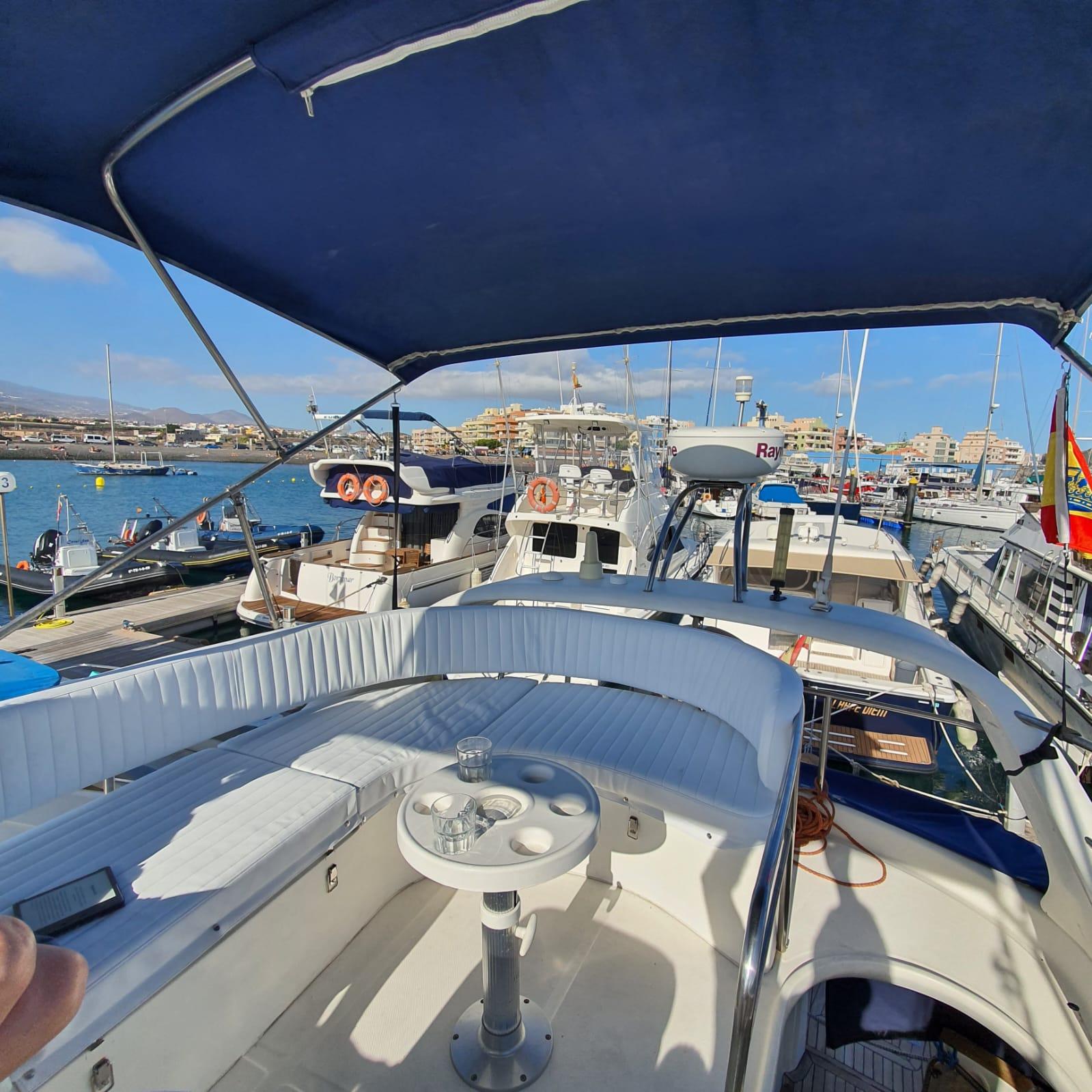 Luxury Whale Watching Safari in South Tenerife